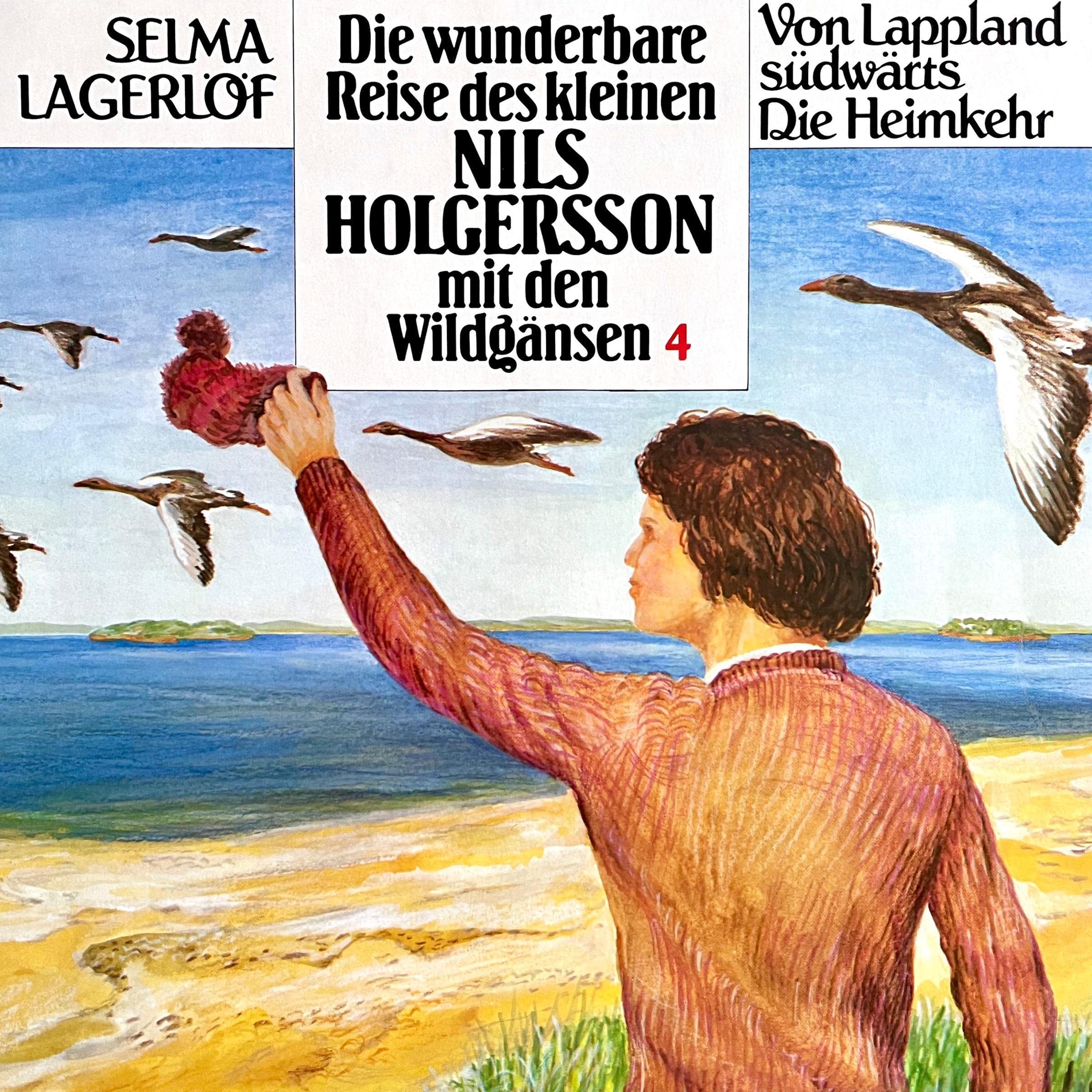 Die wunderbare Reise des kleinen Nils Holgersson mit den Wildgänsen 4
