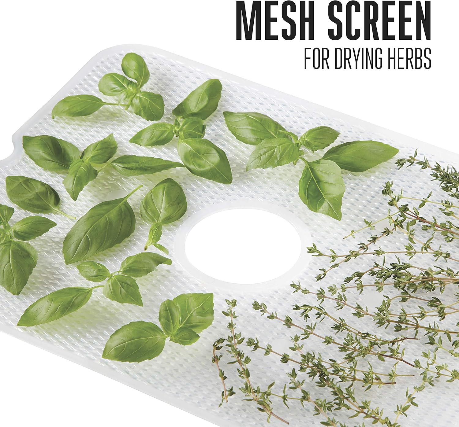 Mesh screen with fresh basil and thyme for drying