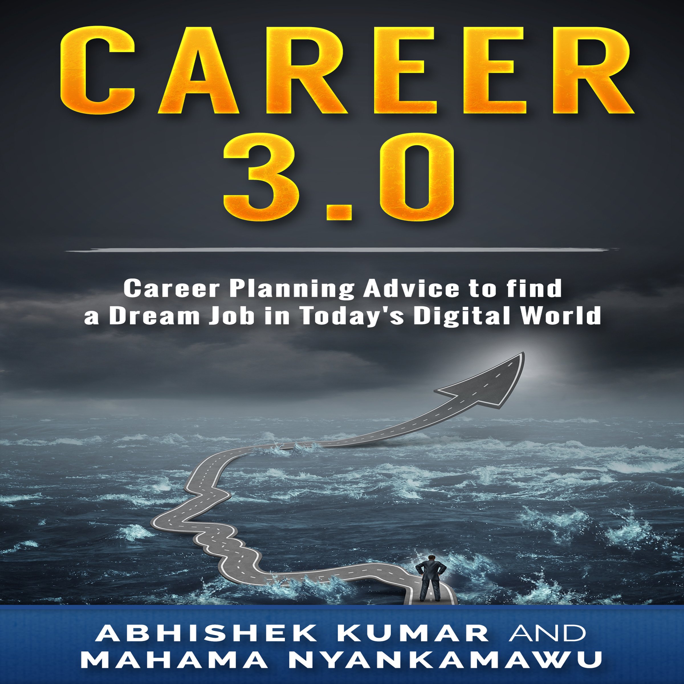 Cover art for Career 3.0