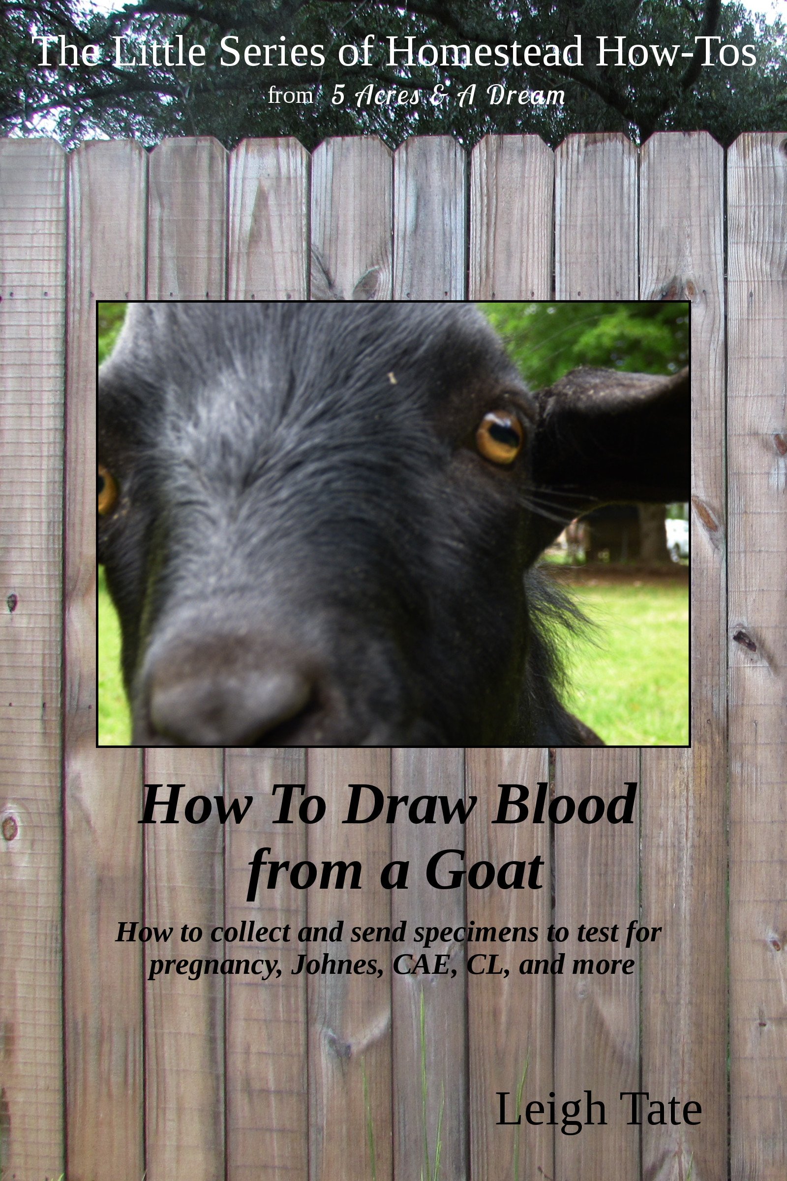Buy How To Draw Blood from a Goat How to collect and send specimens to