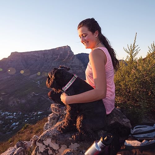 Miniatura 2 de Collar reflectante personalizado para perro con nombre y número de teléfono, 4 tamaños ajustables (S, M, L, XL) en naranja, negro, rosa, rojo y cian