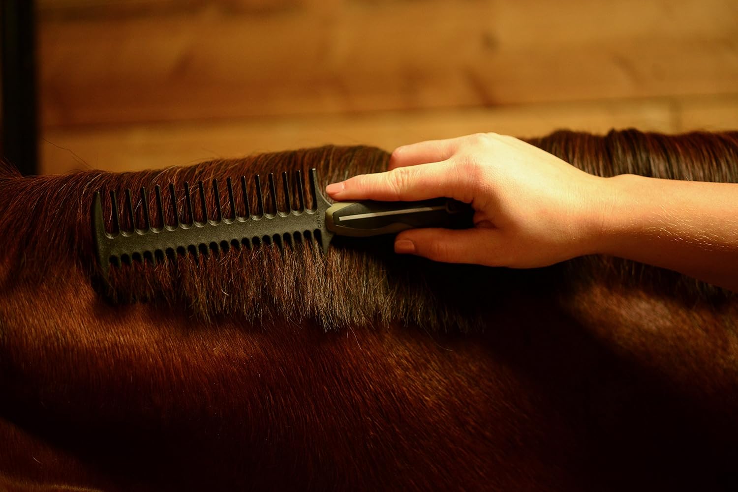 Wahl Professional Animal Equine Grooming Mane and Braiding Horse Comb, Black (#858708) : Hair Combs : Pet Supplies
