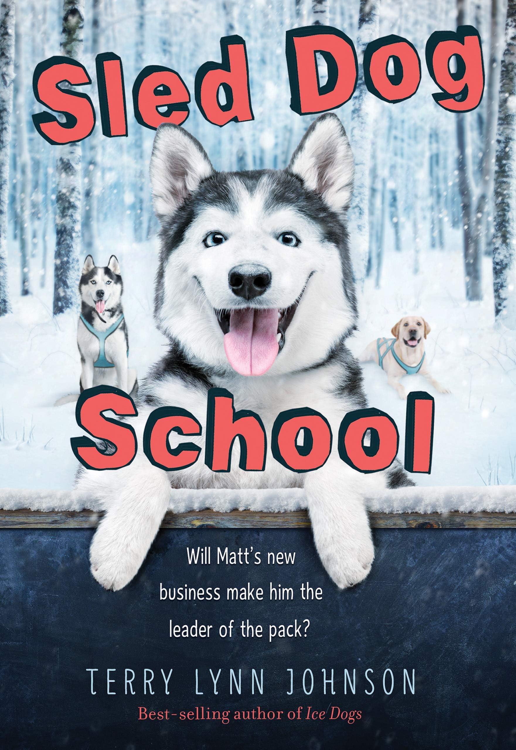Sled Dog School: A Heartwarming Dogsledding Adventure about Friendship and Following Your Passions for Kids (Ages 8-12)