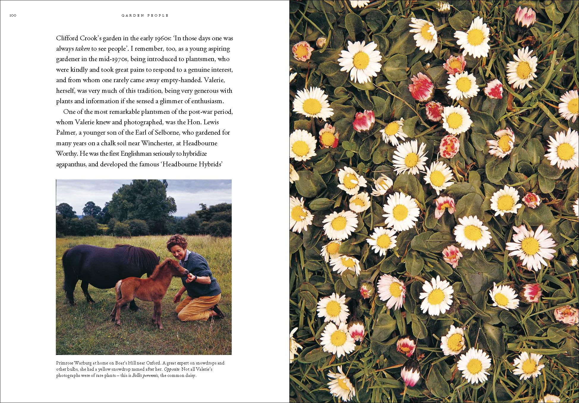 Garden People: Valerie Finnis and the Golden Age of Gardening