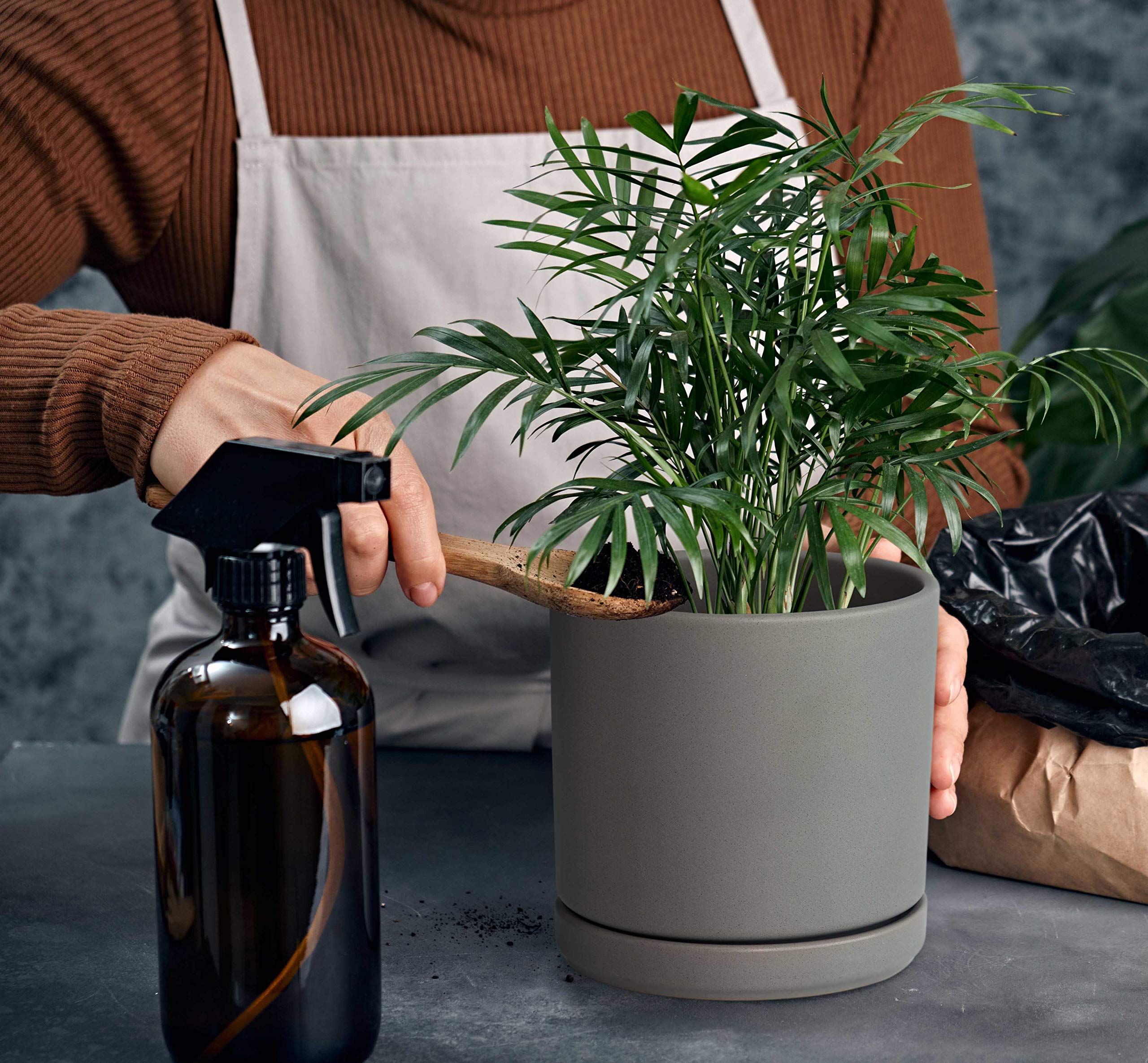 Amazon.com : D'vine Dev 6 Inch Ceramic Planter Pot with