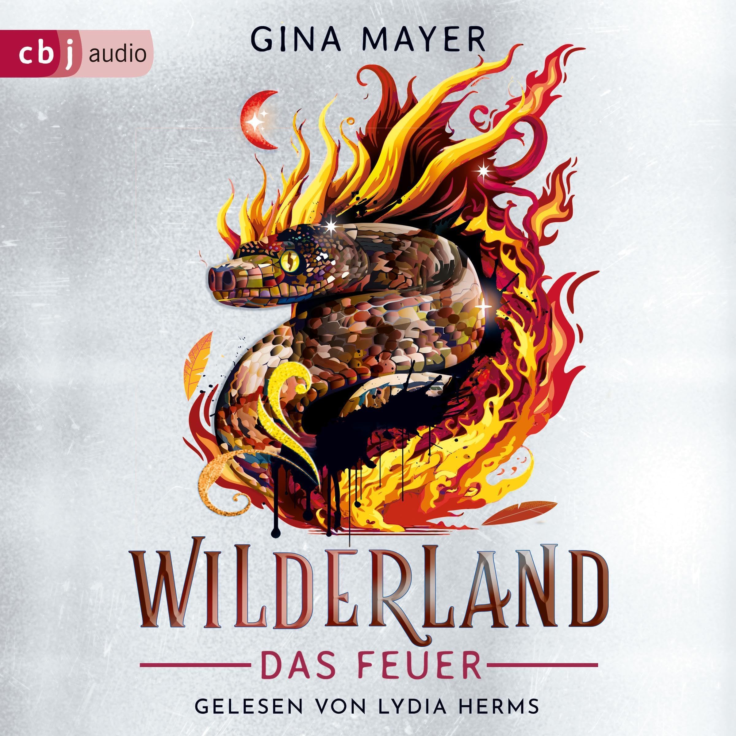 Cover art for Das Feuer