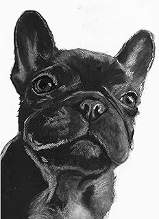 Black French Bulldog Art Print, Charcoal Dog Art, French Bulldog Owner Gift, Choice of size by Oscar Jetson (8x10)