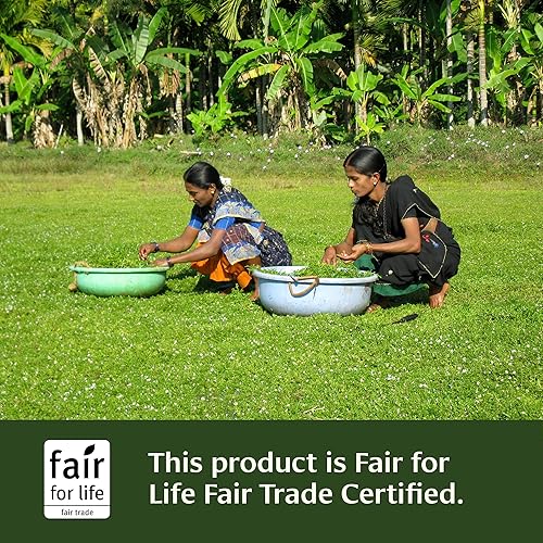 Miniatura 5 de Banyan Botanicals Comprimidos Amla (Amalaki) - Organic Emblica Officinalis - Fuente natural de vitamina C y antioxidantes - Apoya la digestión y la