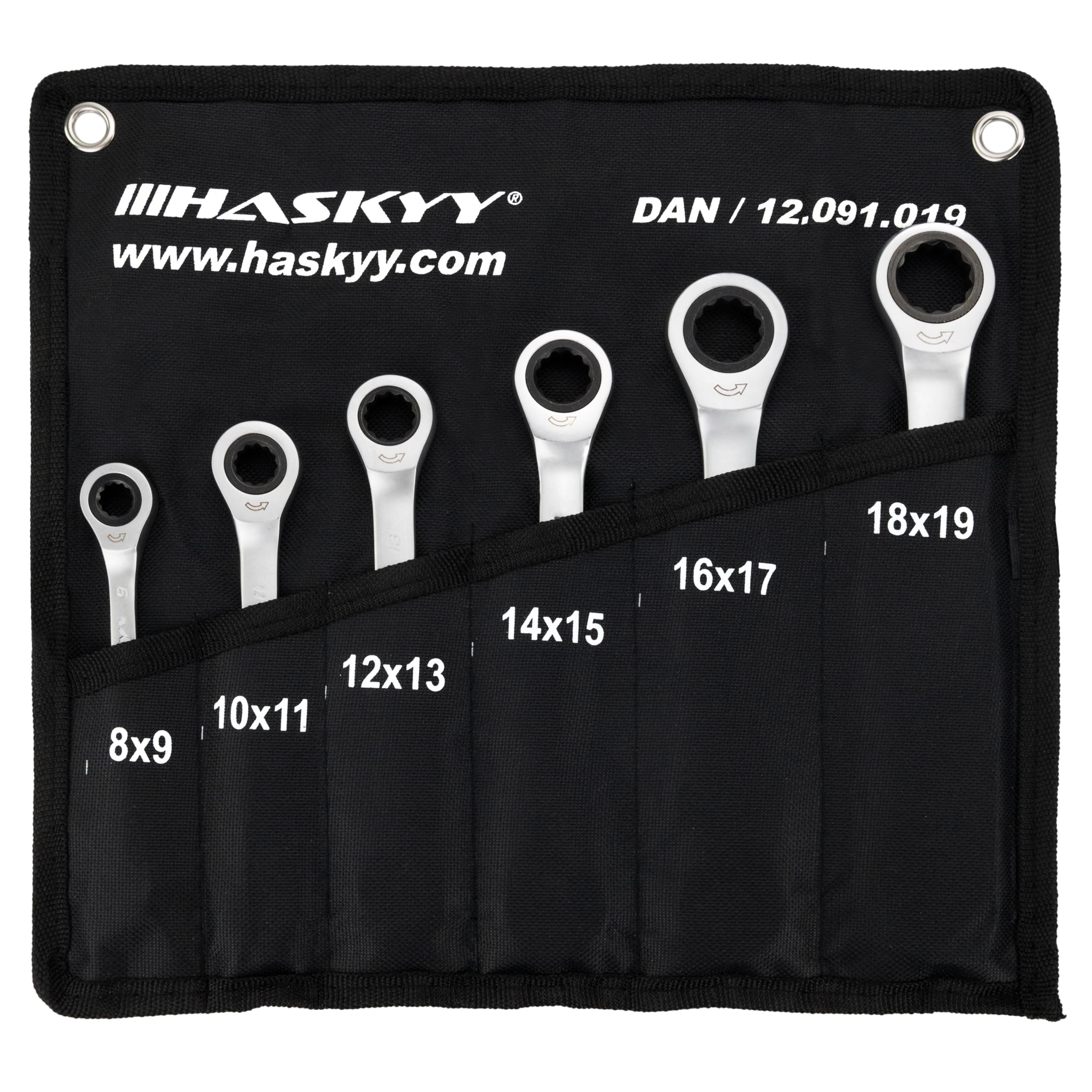 HASKYY Jeu de 6 clés à cliquet doubles 8 x 9 I 10 x 11 I 12 x 13 I 14 x 15 I 16 x 17 I 18 x 19 dans étui système 8-19 mm Jeu de clés polygonales plates