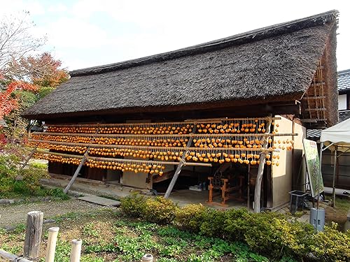 Miniatura 3 de Hoshigaki Masajeado a mano japonés orgánico de caqui secado al sol 1 lb