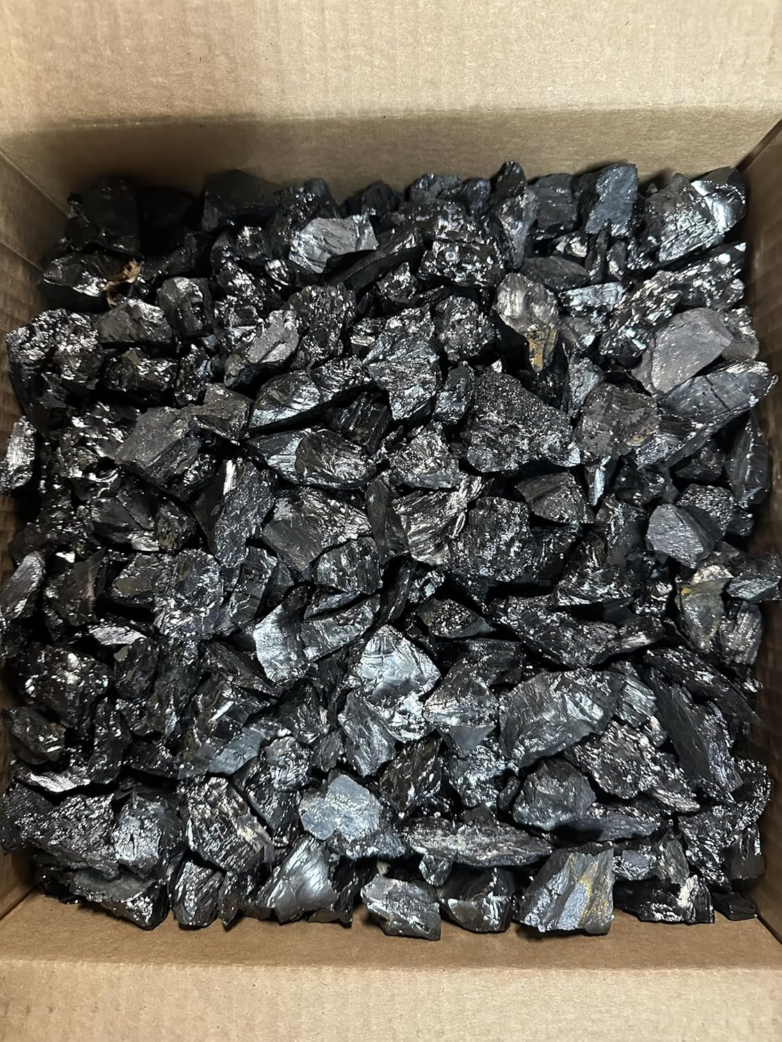 Beautiful Clean Coal: Premium Anthracite Pea Coal, 25 LBS