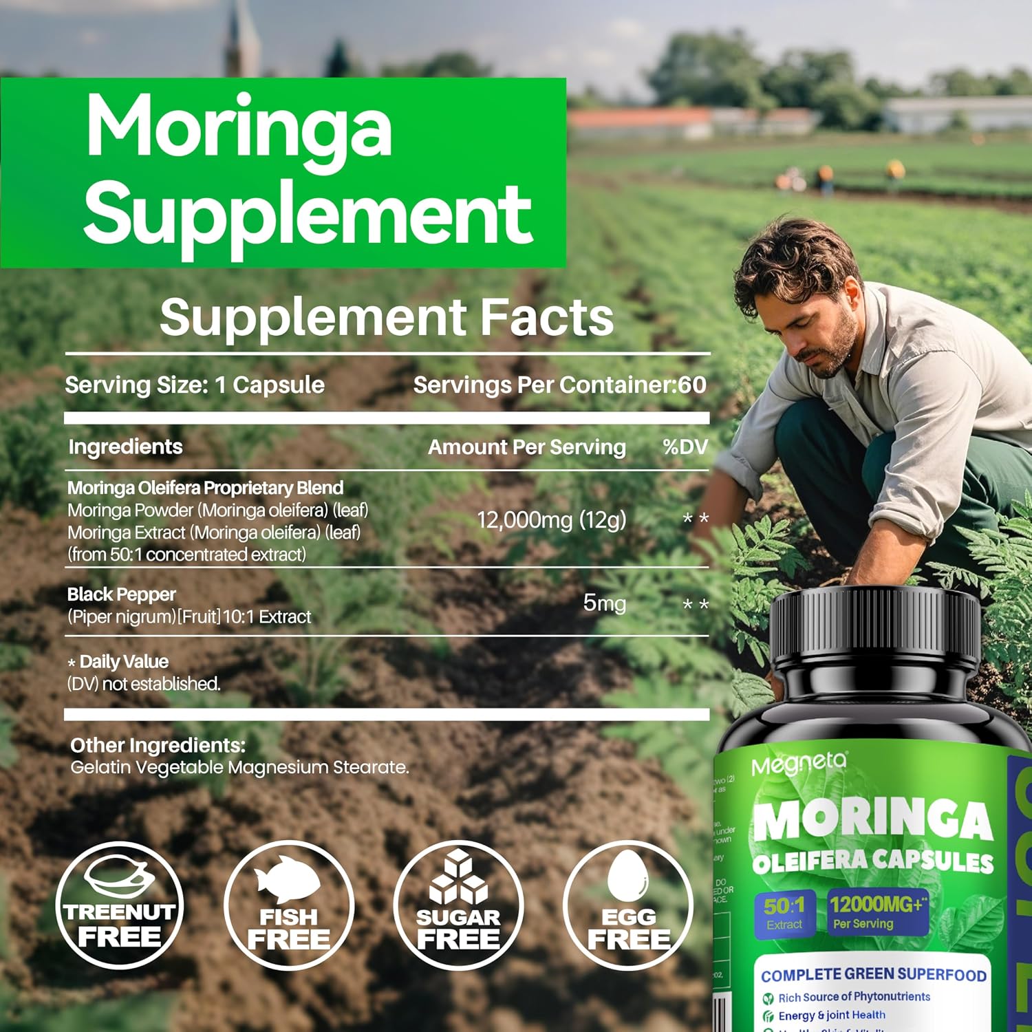 Moringa Capsules - 12000mg Moringa Powder, Rich in Antioxidant, Energy, Light Beige Health, Gut Health, Immune, 120 Capsules
