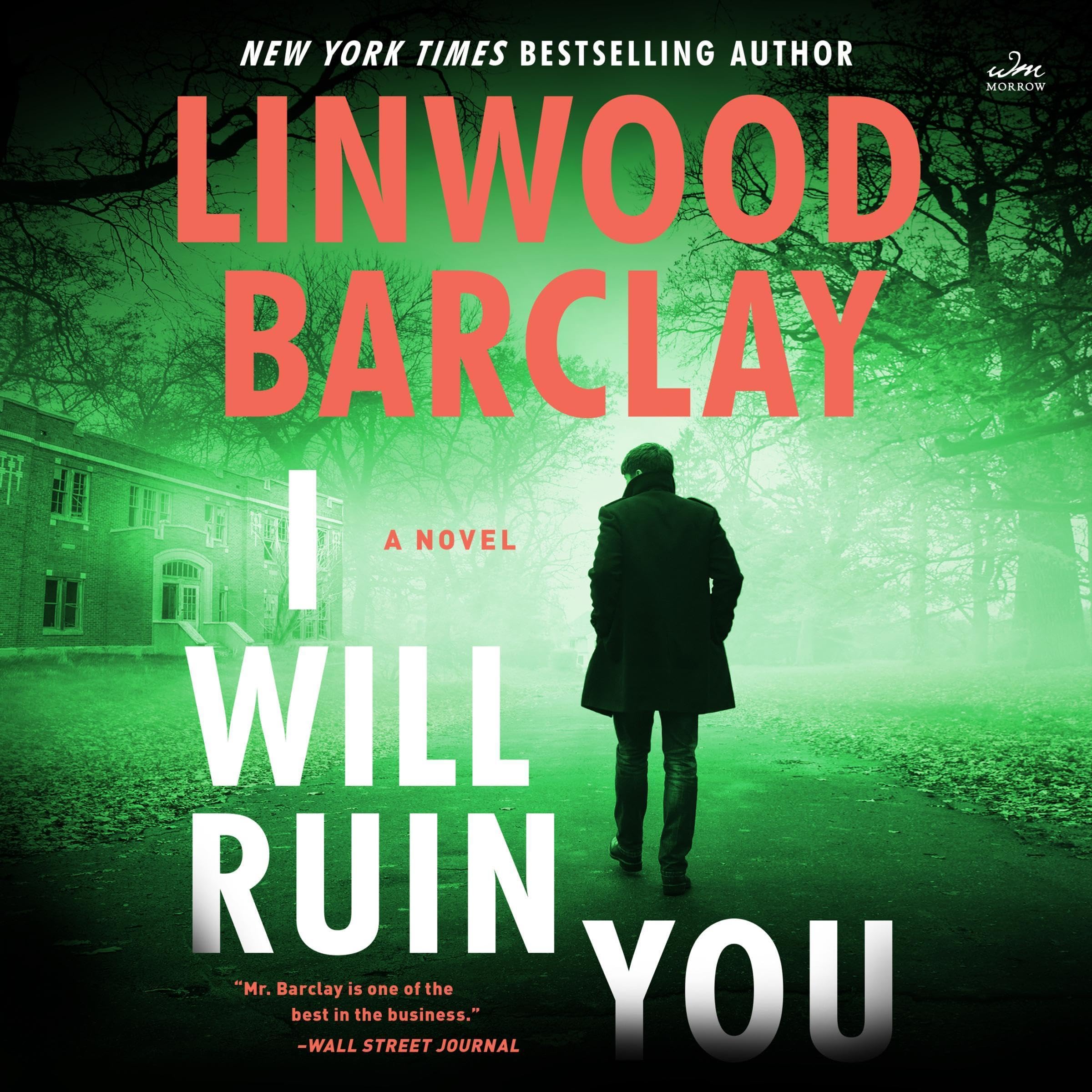 Cover art for I Will Ruin You
