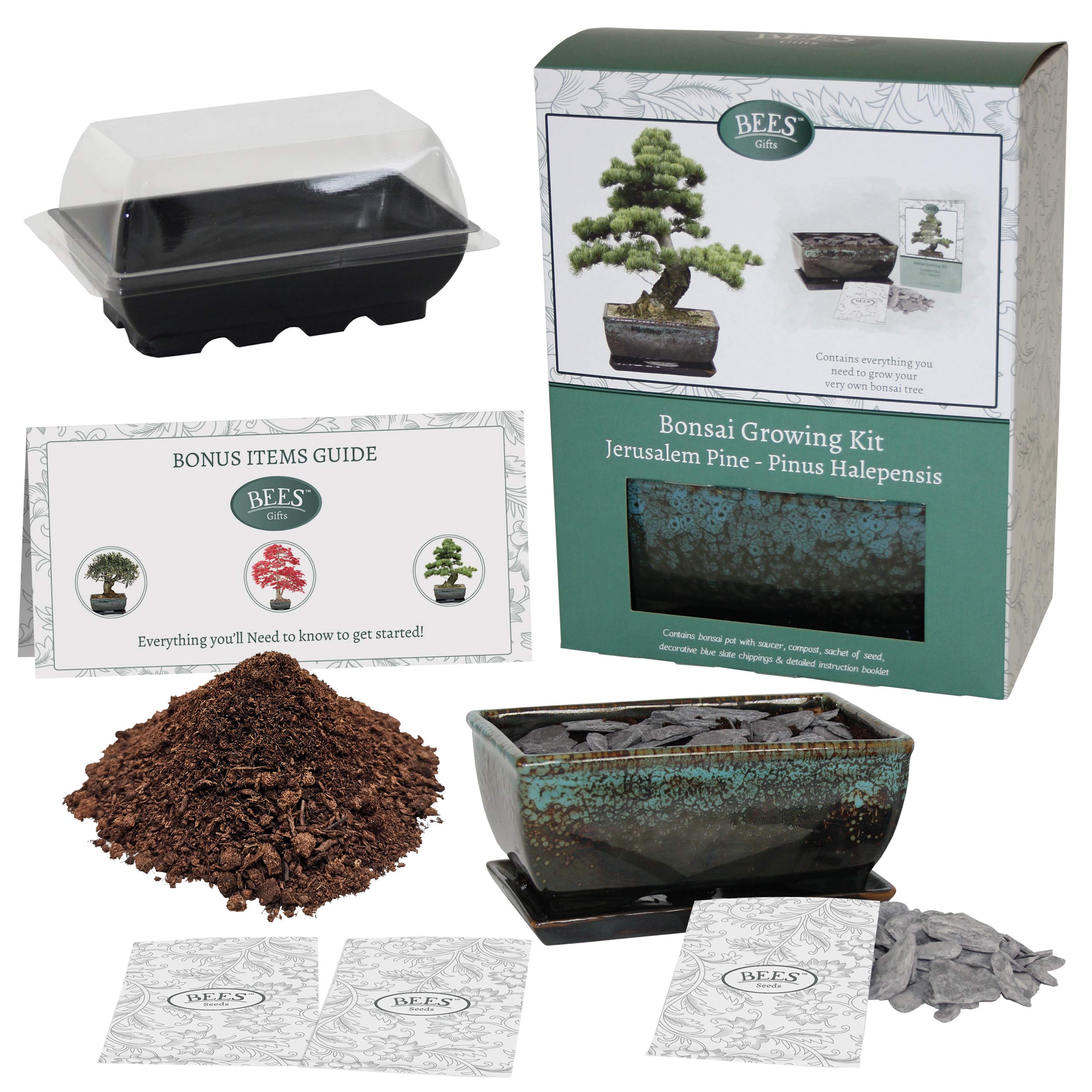 Buy Bonsai Tree Grow Your Own kit, Grow 3 of The Most Popular Varieties
