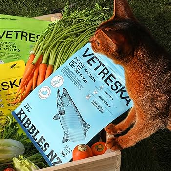 Coshida premium cat food Clearance