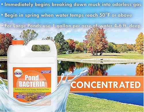 Vista 20 de Pondworx Pond Bacteria - Concentrado y formulado para características del agua - Seguro para Koi - 16 onzas y trata hasta 2,500 galones de agua
