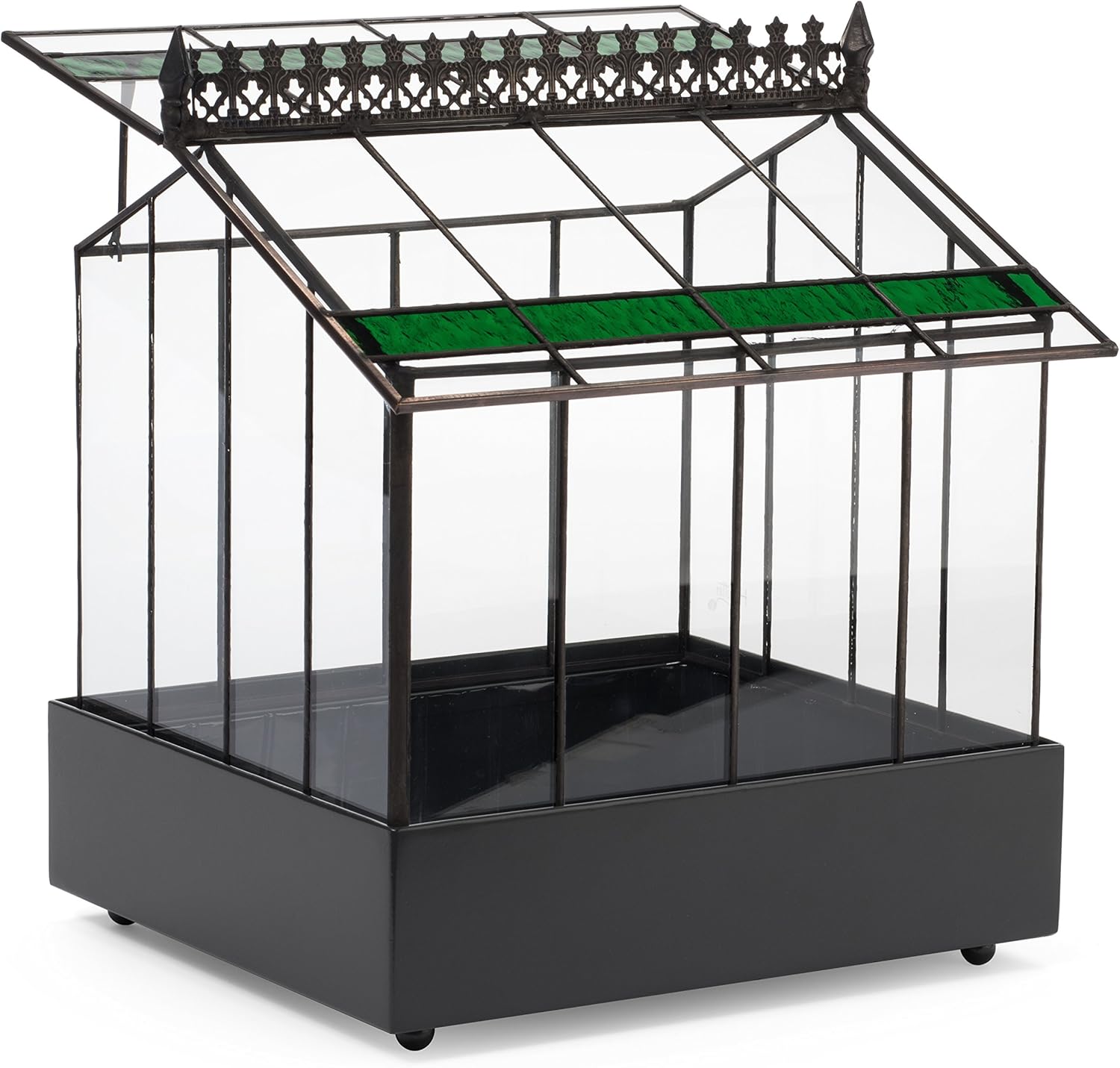 H Potter Glass Terrarium Planter Wardian Case Container with Green Glass Accent for Succulent Plants Flowers Orchids Foliage and More WAR143 : Patio, Lawn & Garden