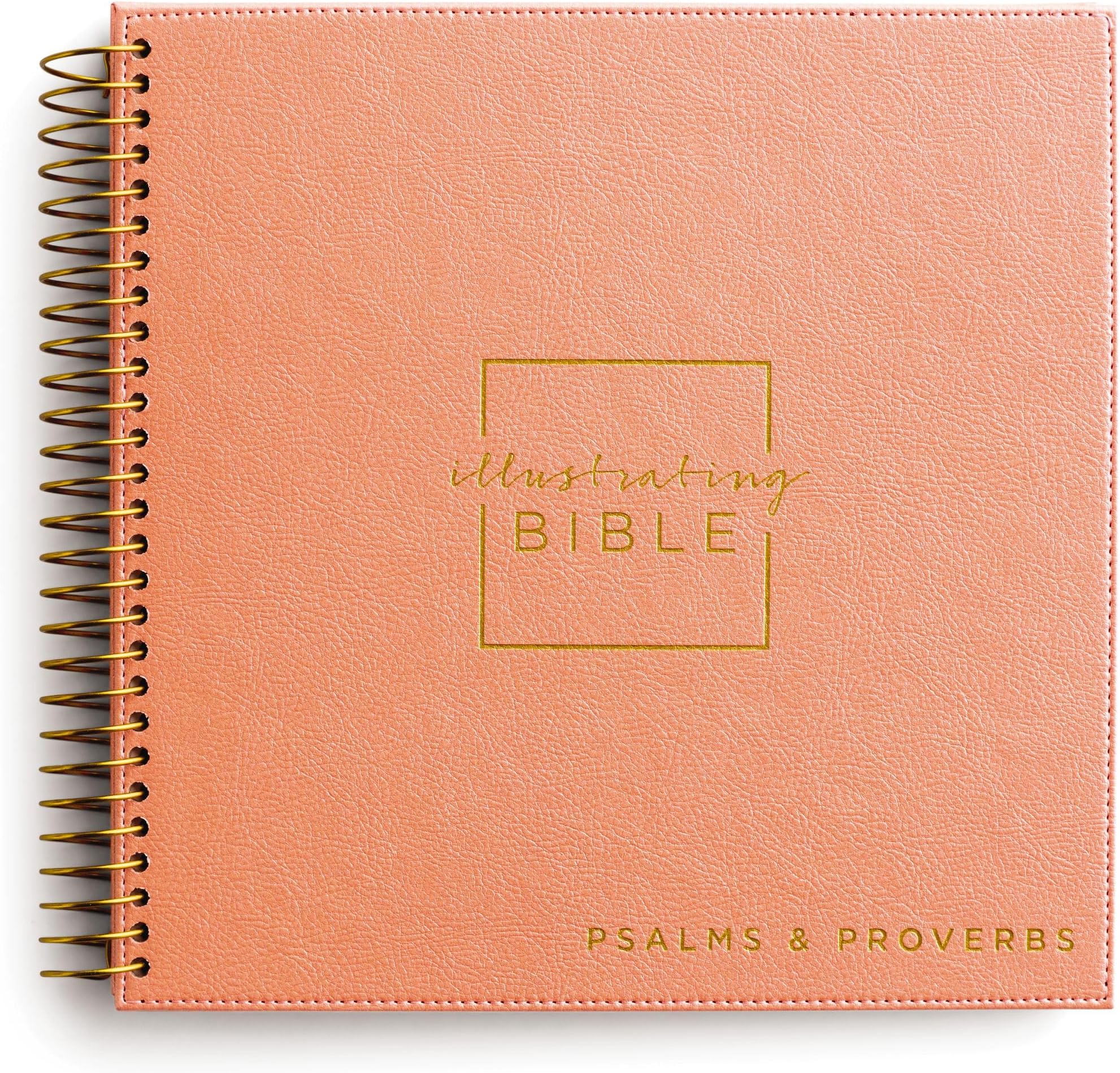 Holy Bible: Niv, Spiral-bound Illustrating Bible: Psalms and Proverbs, Coral: Draw, Write, and Reflect Your Way Through Scripture