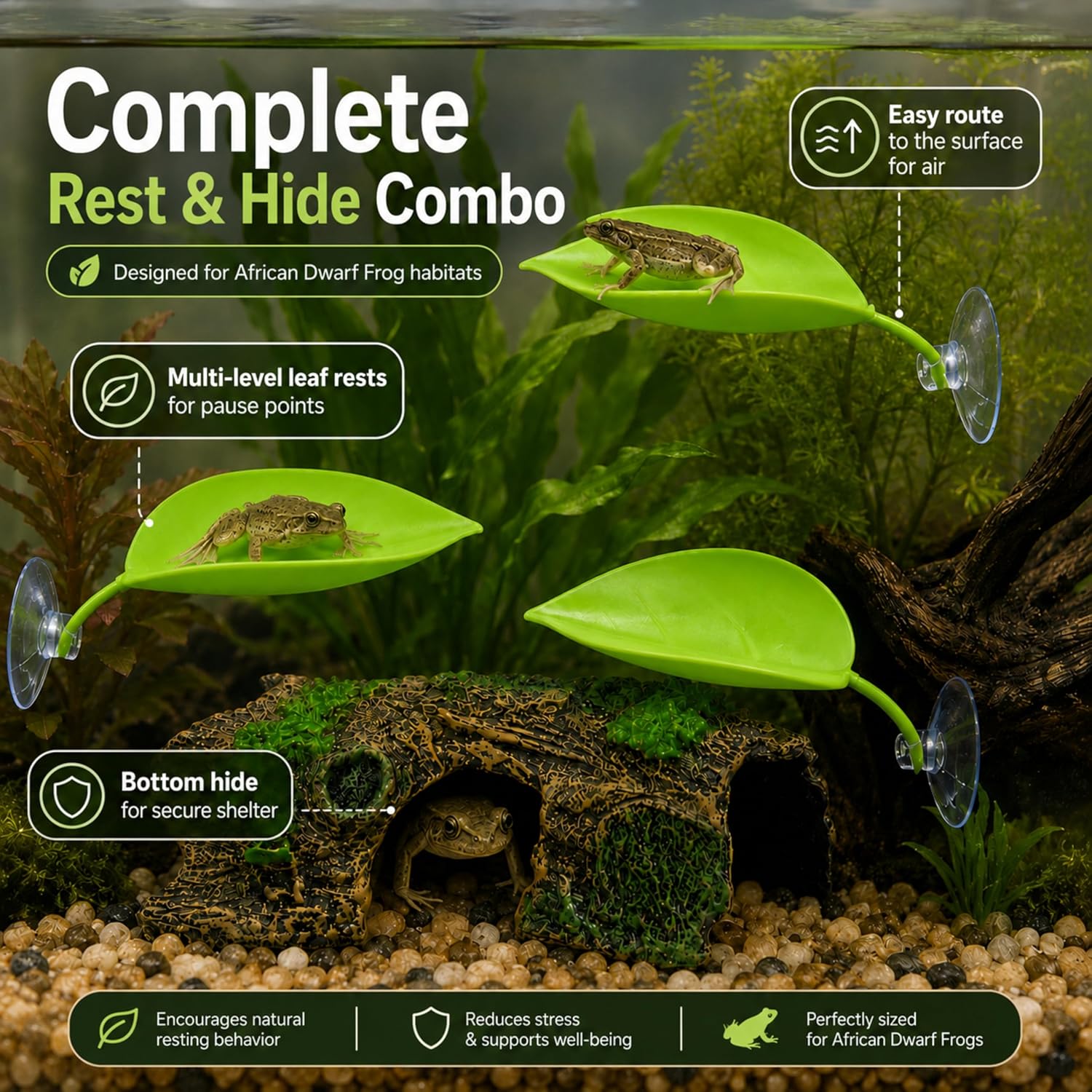 African Dwarf Frog Tank Accessories Platform, Hideout and 3 Leaf Ledges | Underwater Hide Cave with 3 Leaf Ledges for Low, Middle and Near-Surface Resting (Hiding Ledge)