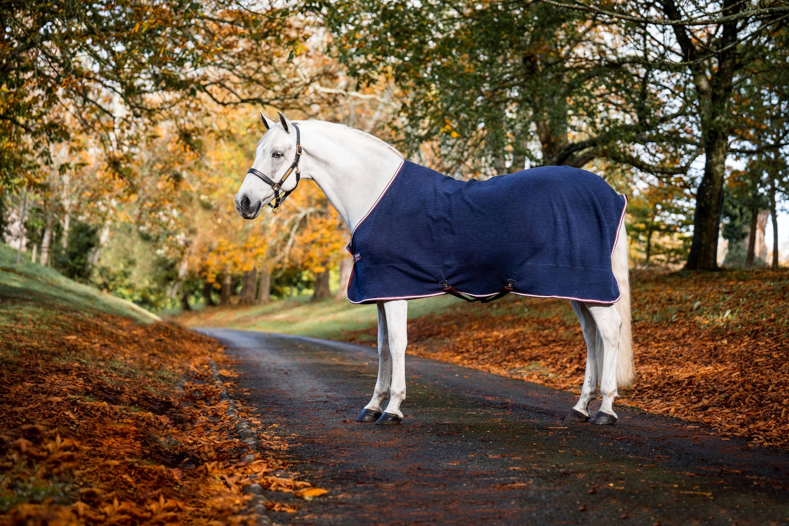 Refroidisseur en jersey gaufré Horseware évacue l'humidité du cheval 84
