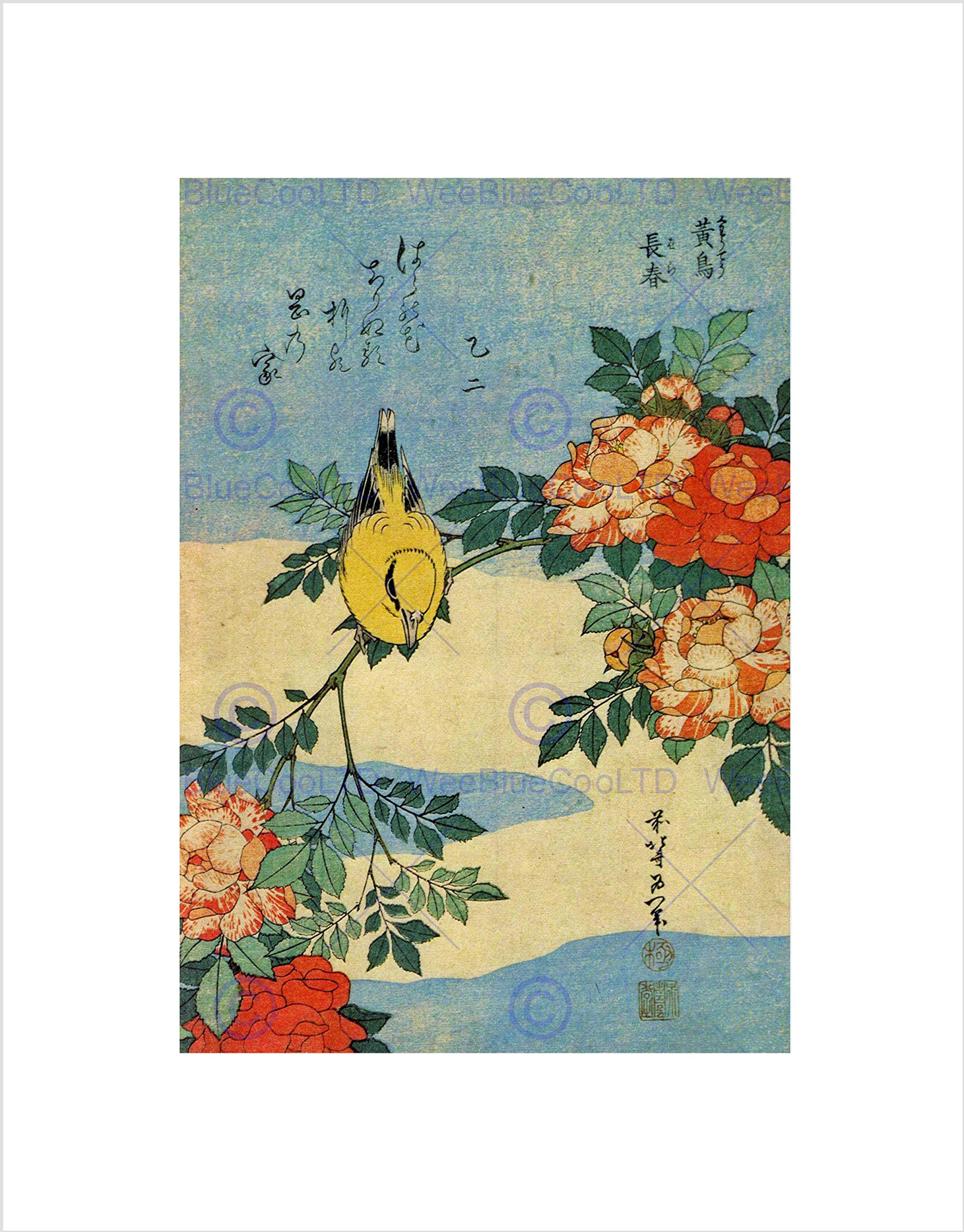 Wee Blue Coo PAINTING ANIMALS BIRD YELLOW FINCH FLOWERS JAPANESE JAPAN FRAMED PRINT B12X11662