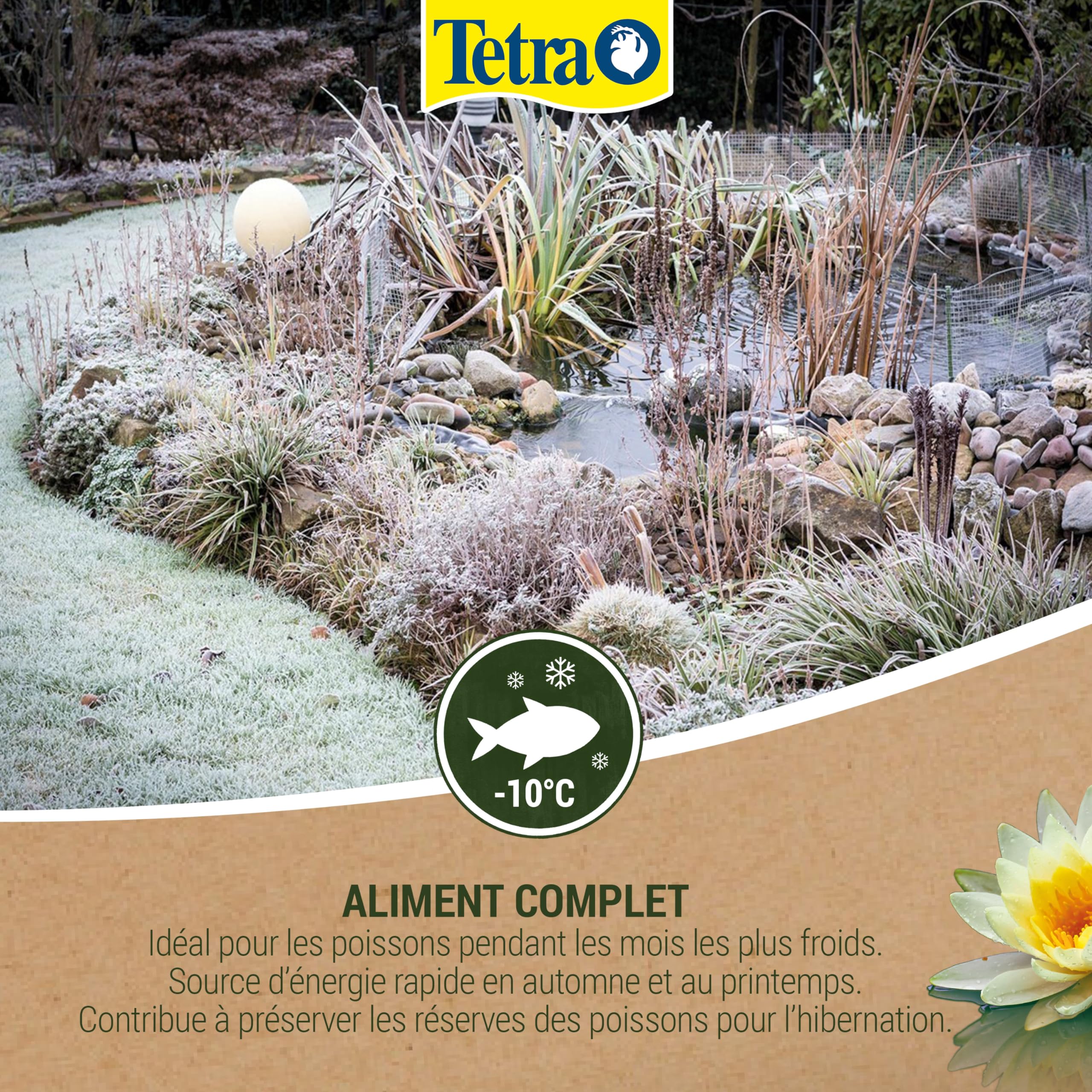 Tetra Pond Wheatgerm Sticks – Alimentation Equilibrée aux Germes de Blé pour Poissons de bassin – Recommandé en automne et au printemps – Riche en fibres – Très Energétique - 10 L | Avec germes de blé | Riche en fibres | Haute digestibilité | Idéal périod
