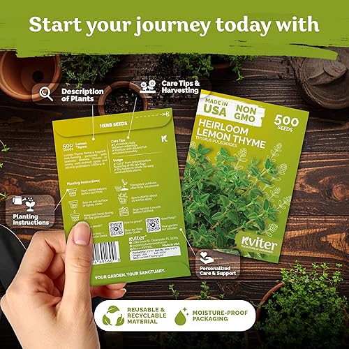 Miniatura 2 de KVITER 500 semillas de tomillo limón para plantar (Thymus Pulegioides) - Semillas de tomillo rastrero silvestre cubierta del suelo, flor herbácea
