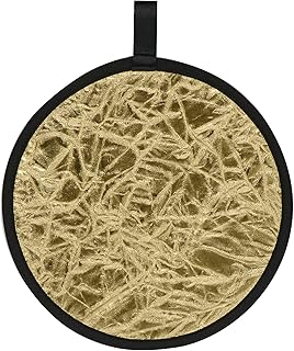 Kenko KRR-S/G31 R-Reflector, S/G, 12.2 inches (31 cm), Silver/Gold, Foldable, Storage Case Included