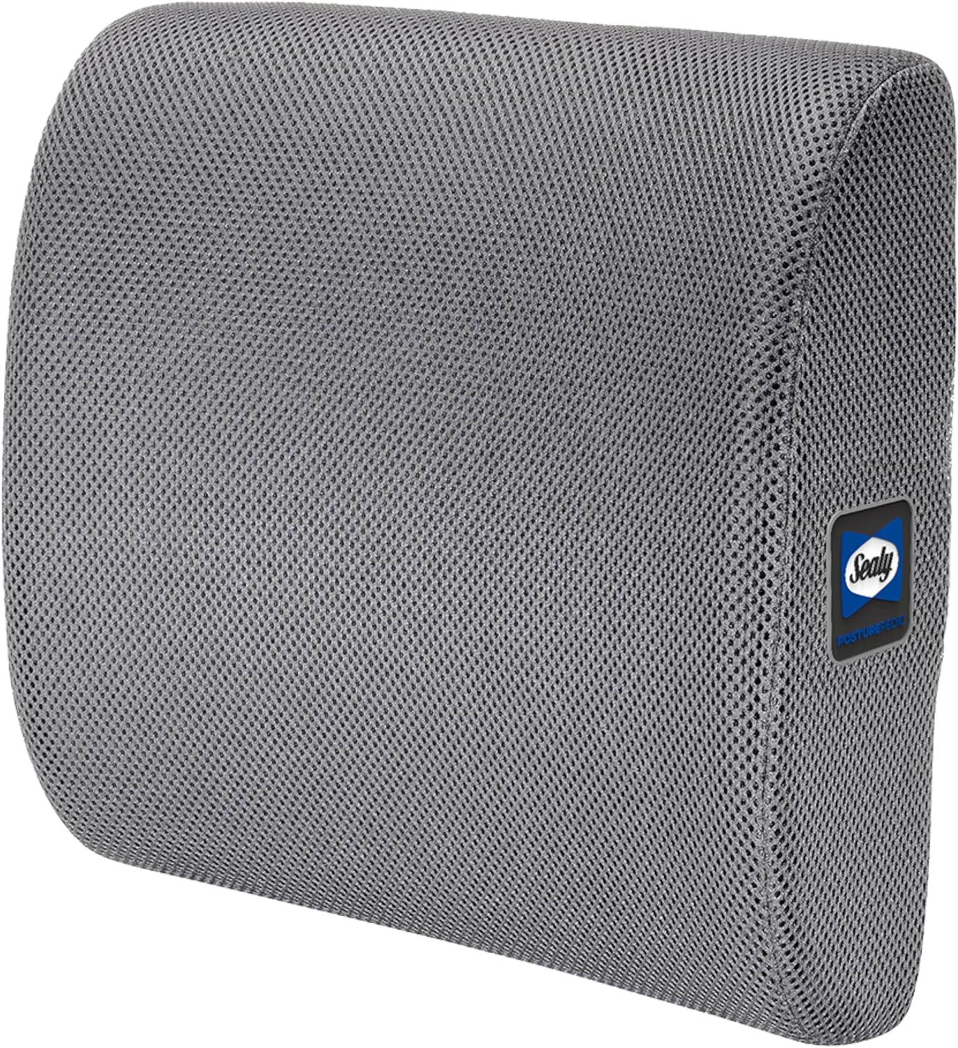 Sealy Ergonomic Lumbar Support Pillow for Office Chair and Car Seat - Memory Foam Back Support Lumbar Pillow, Premium Cushion Chair Support for Lower Back Pain Relief and Versatile Use (Gray)