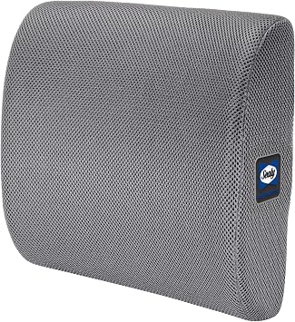 Sealy Ergonomic Lumbar Support Pillow for Office Chairs and Car Seats - Memory Foam Back Support, Lumbar Pillow, Premium Cushion Chair Support, Lower Back Pain Relief, Multi-Purpose Gray