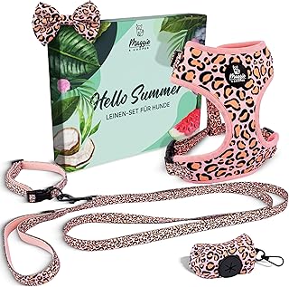 Leinen-Set für Hunde – Design Peach Safari – 5-teilig: Halsband, Geschirr, Leine, Schleife, Kotbeutelspender – 4 Größen – Geschenkverpackung (XS)