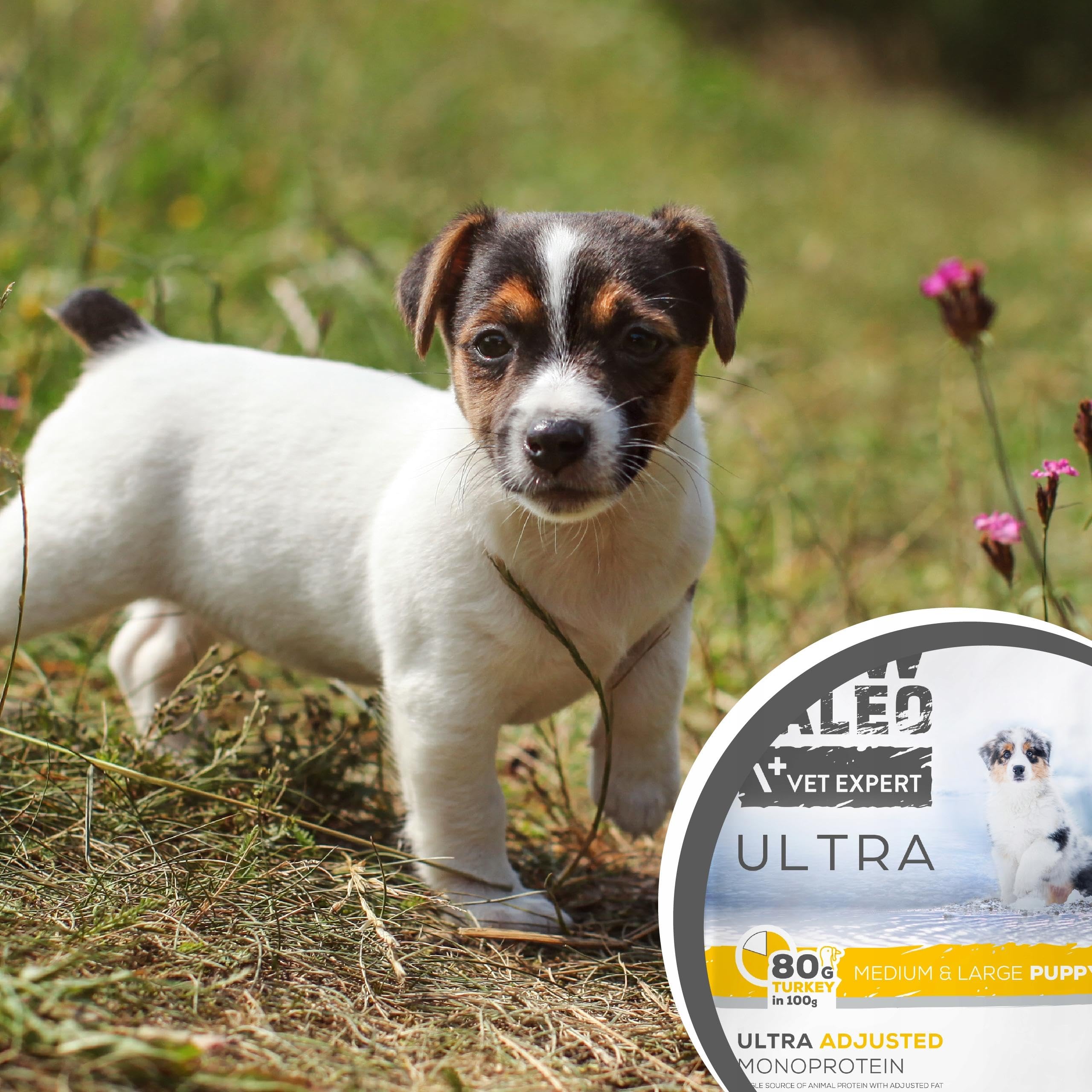 VETEXPERT Raw Paleo Ultra Turkey Puppy Medium/Large - Sucha Karma z Indykiem dla Szczeniąt Ras Średnich i Dużych 10 kg