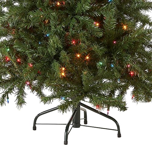 Vista 14 de National Tree Company