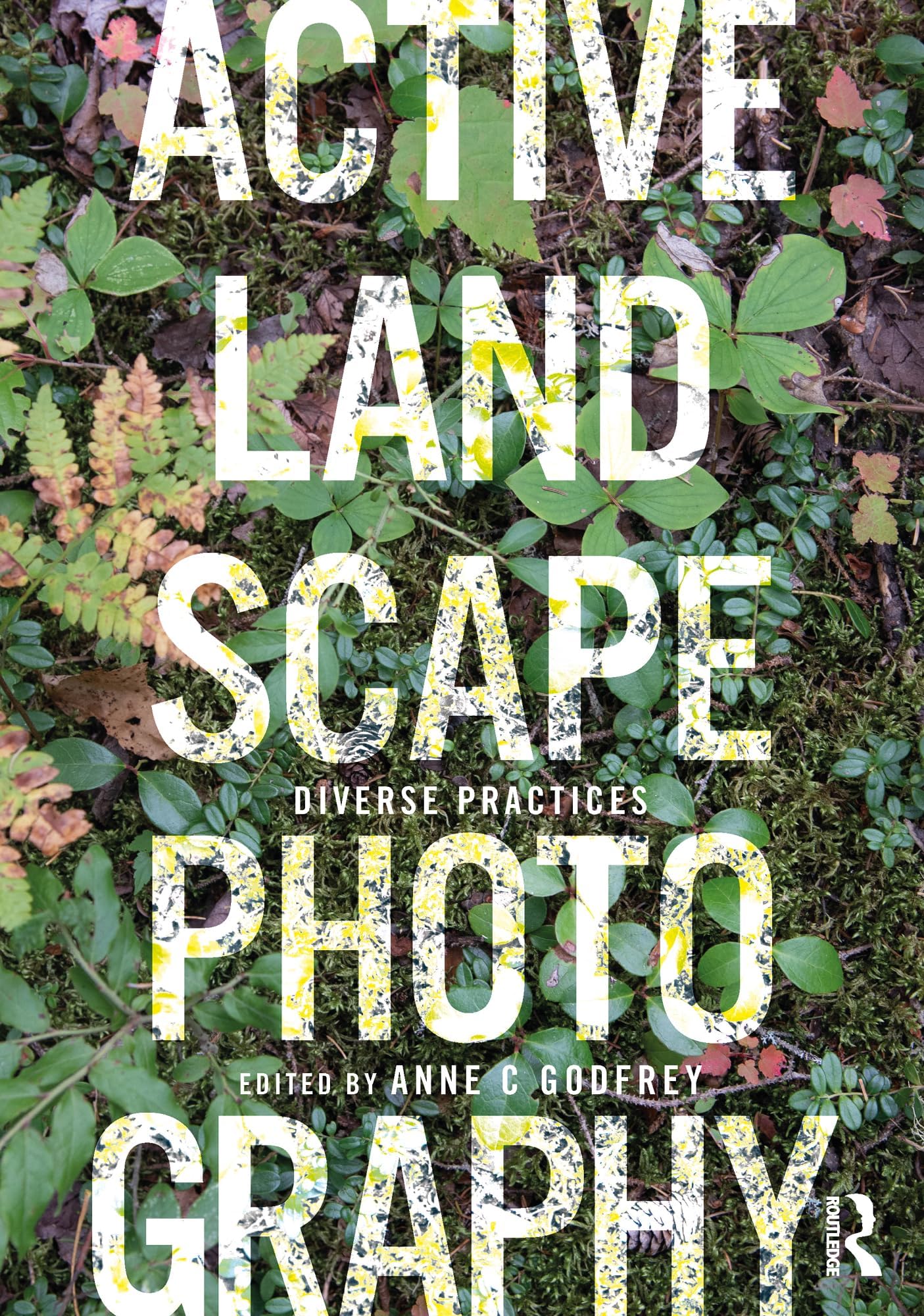 Routledge Active Landscape Photography: Diverse Practices