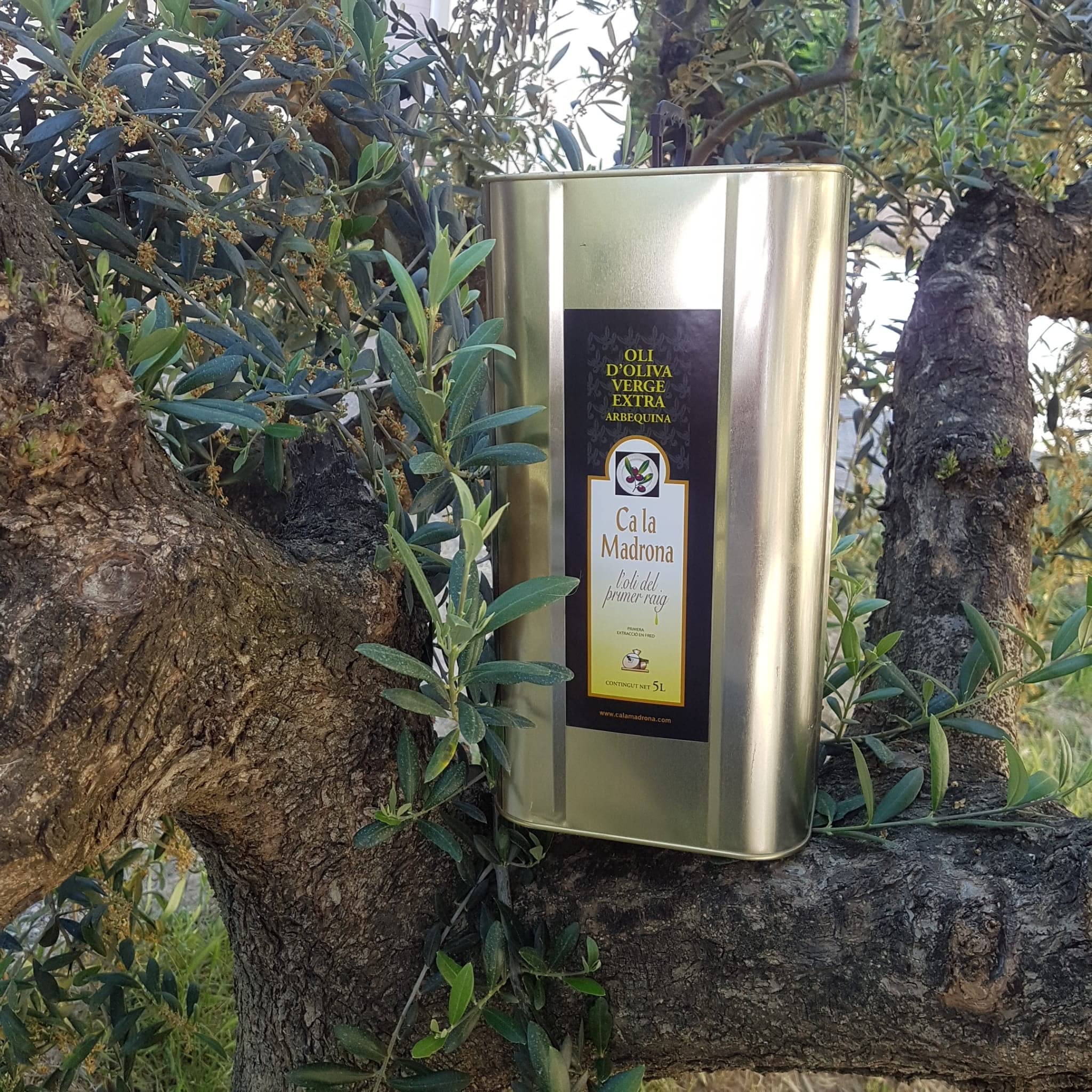 Calamadrona, huile d'olive extra vierge récoltée à partir d'olives Arbequina 100% monoverietal, savourez cette huile douce au goût fruité et frais (5 litres)