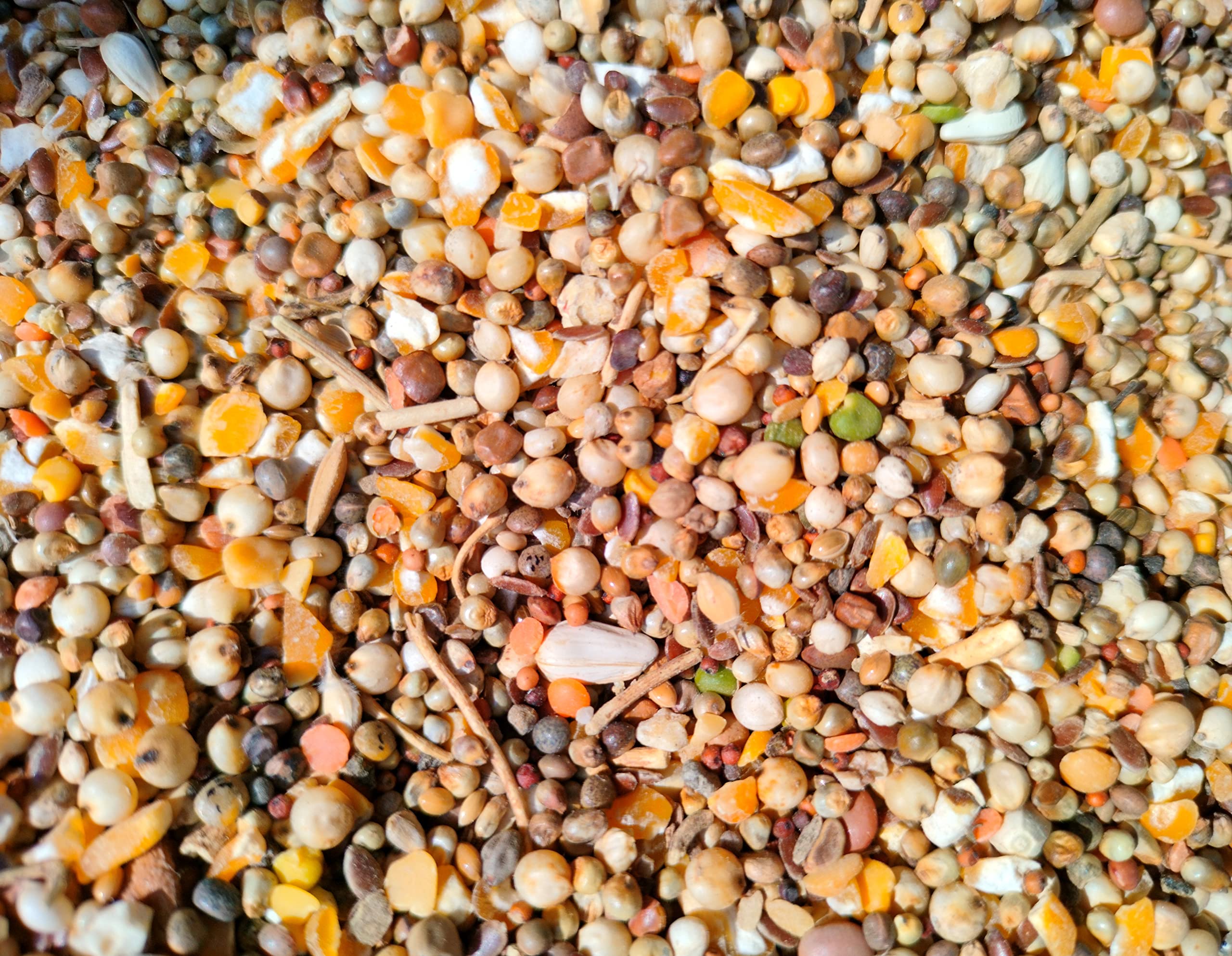 GLOBAL GREEN - Newly Launch Pigeon Special Seed Mix 5KG Pack (15 Type Seed Mix) 5 Packet 1KG Each Pack (B0BVG82FF6) Amazon Price History, Amazon Price Tracker