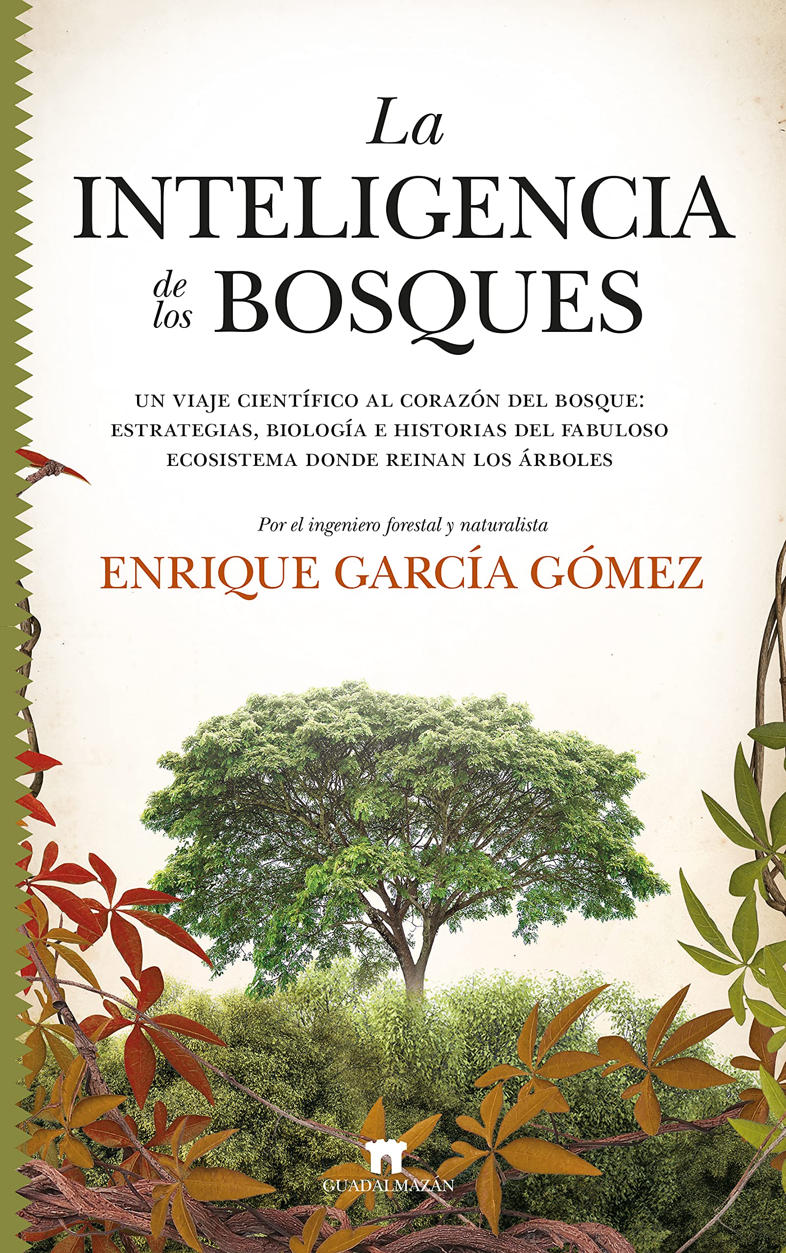 La inteligencia de los bosques: Un viaje científico al corazón del bosque: estrategias, biología e historias del fabuloso ecosistema donde reinan los árboles (Divulgación Científica)