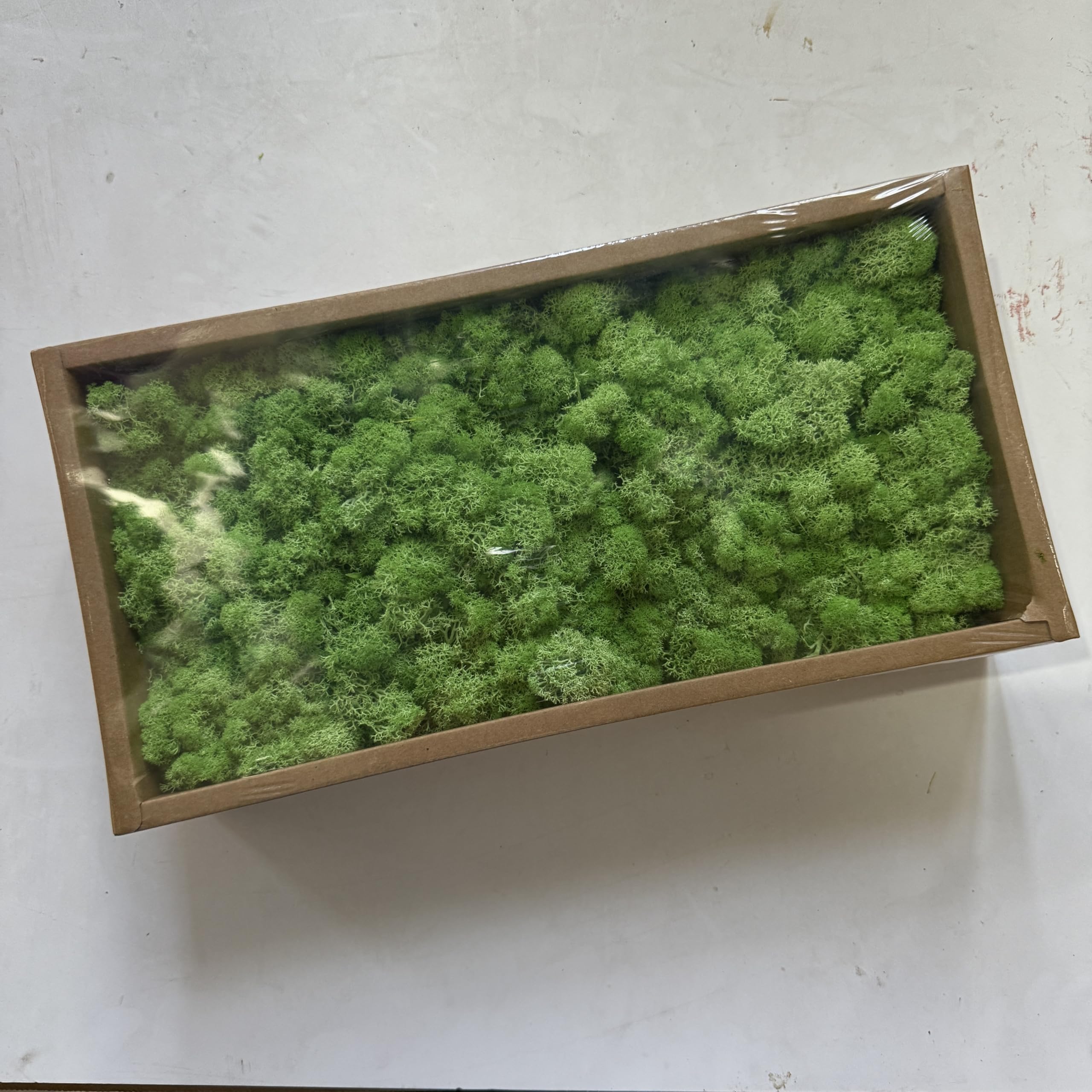 Zencewell Light Green Preserved Reindeer Moss Natural Green Colorful Diy Kit Gardenning Art Wall Decor Florist Decor Easter Table Decor Wedding Decor (1.1Lb) (Light Green)