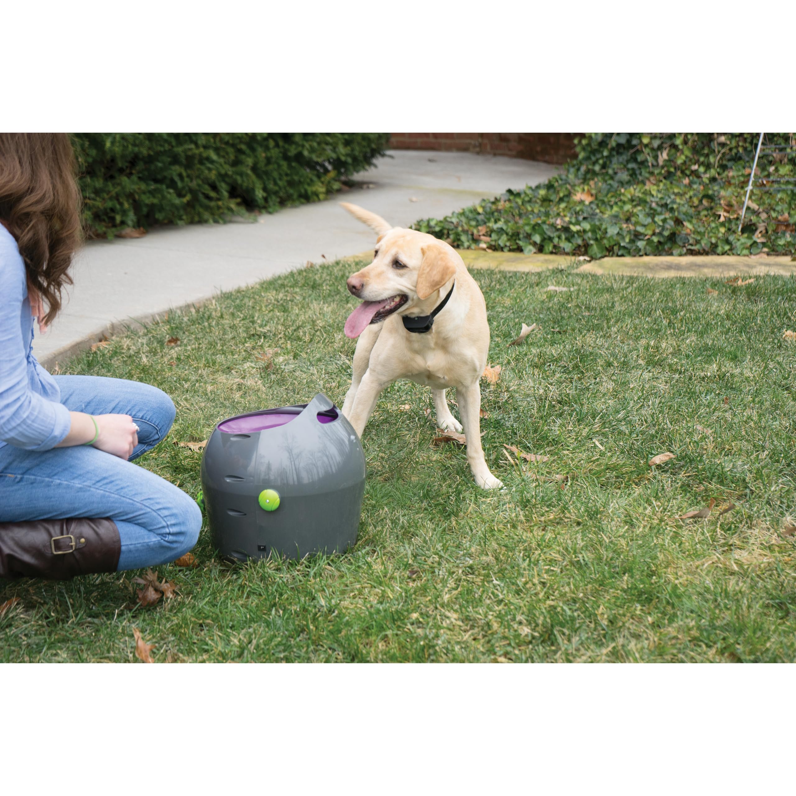 PetSafe Lanzador de Pelotas Automático | Juego de Cobro Interactivo, Distancia Ajustable, Pelotas de Tenis Incluidas