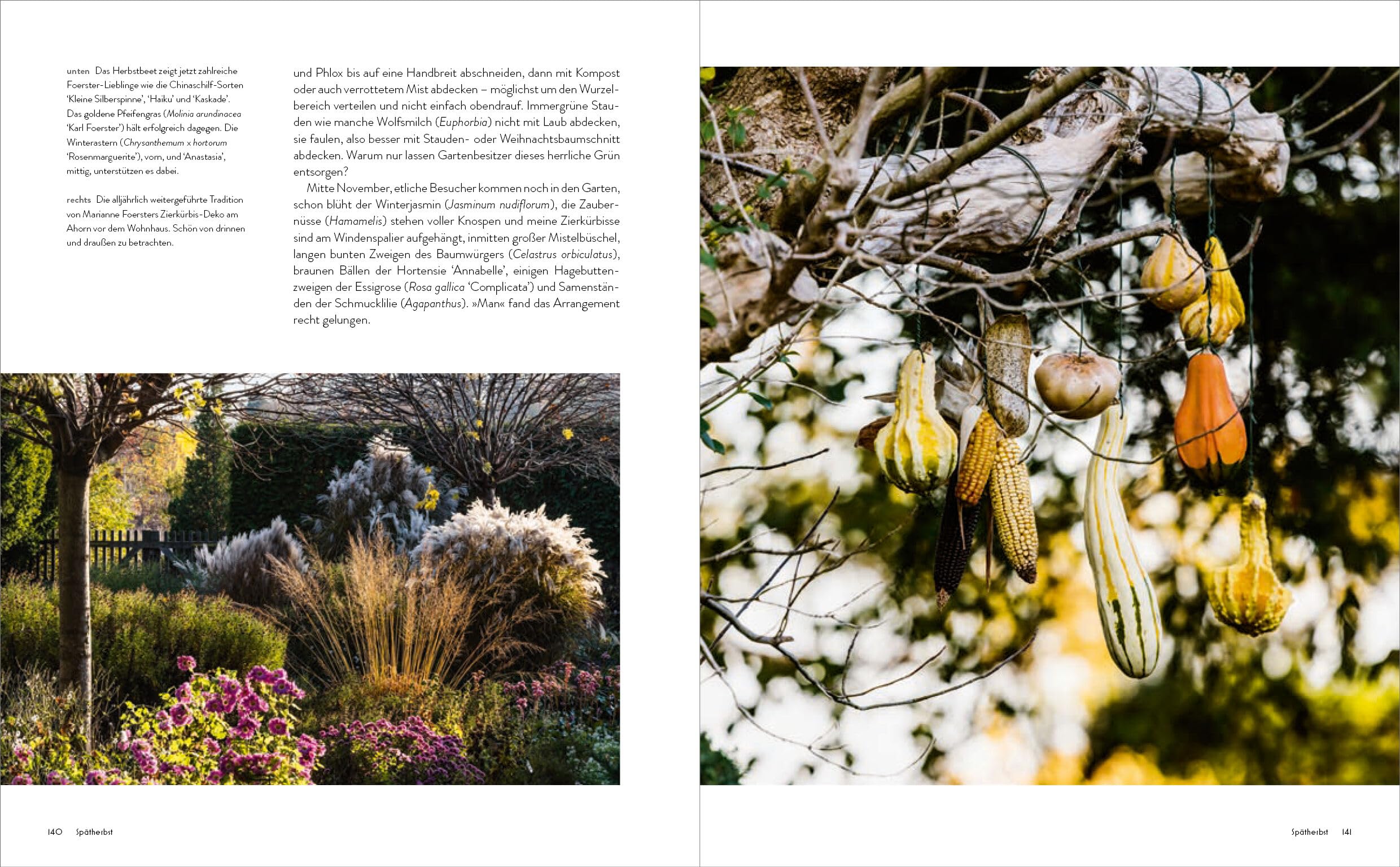 Der Garten meines Vaters Karl Foerster: Bornimer Gartentagebuch in sieben Jahreszeiten - Vollständig aktualisierte, erweiterte und neu fotografierte Ausgabe