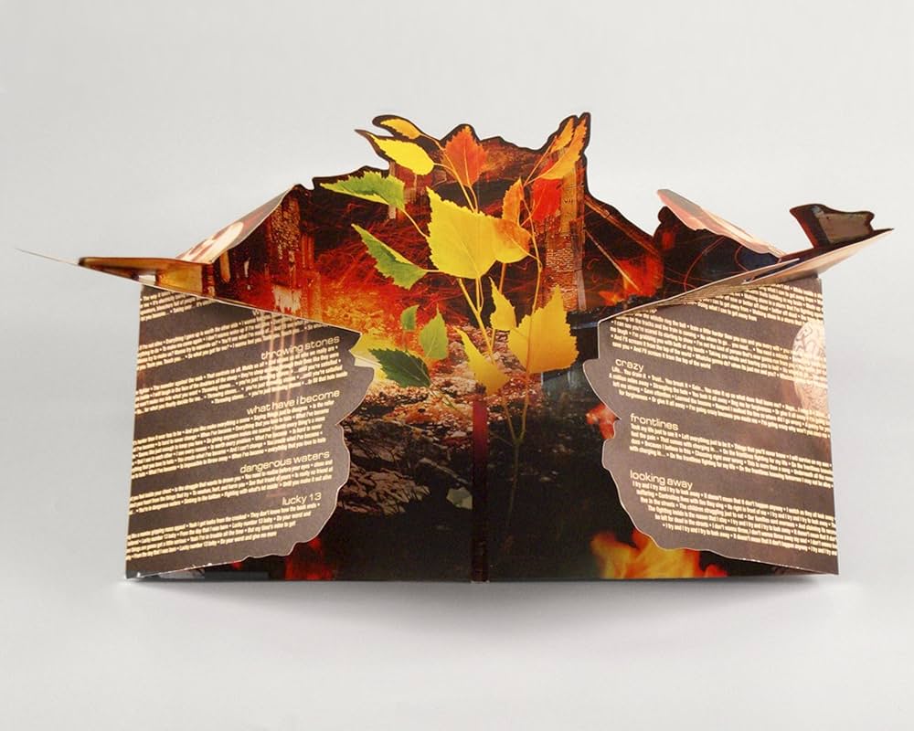 Amazon.com: Miracle: 0811481011931: Nonpoint: Books