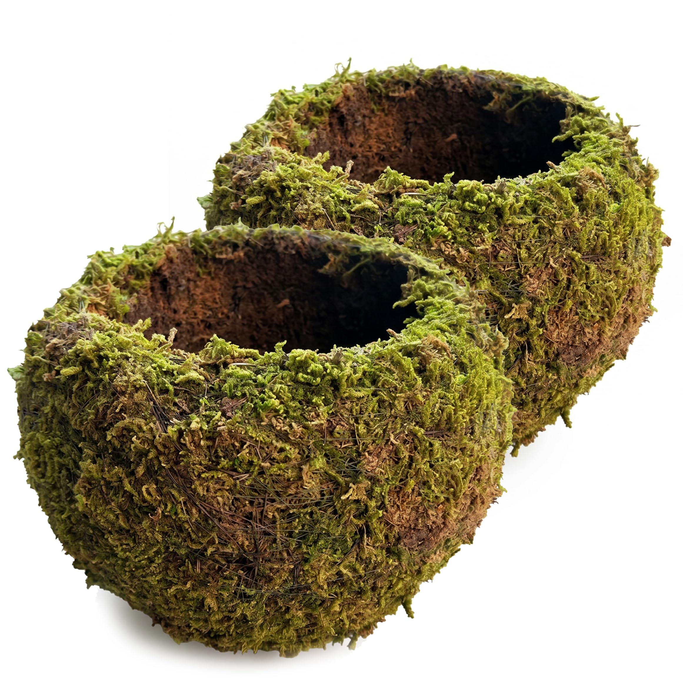 PithCogent Moss Planter, Set Of 2 Moss Ball Planter, Japanese Garden Style Flower Pots, 3.15" Outer Diameter