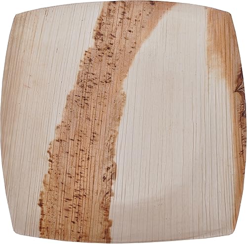 ATMOS VERDE 100 PAQUETES CUADRATO CUADRATO PARTYBODA ENSALADAPOSTREPLATO LATERAL BIODEGRADABLE, COMPOSTABLE Y ECOLÓGICO DESECHABLE ÁREA PLATOS DE