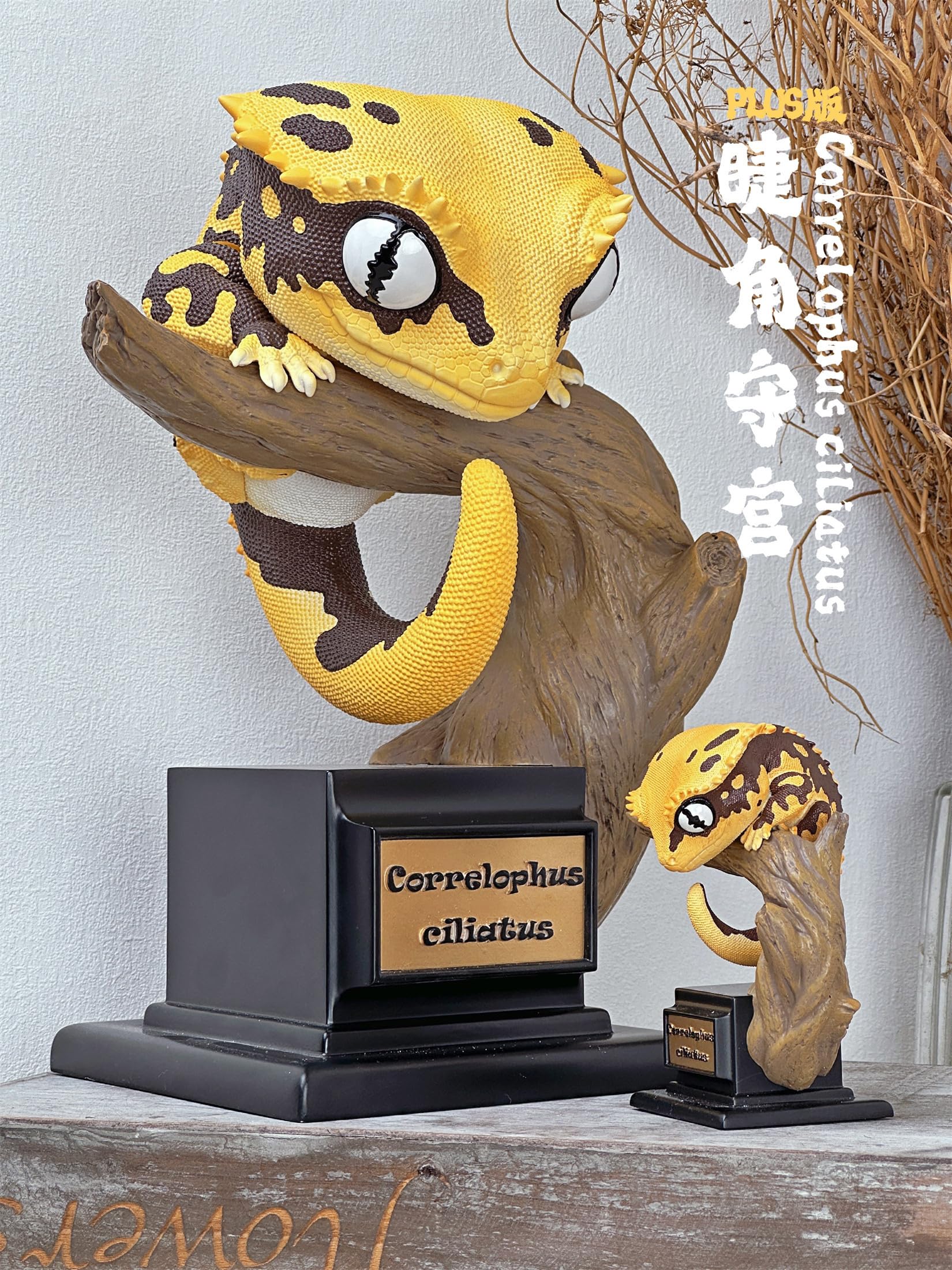 超レア　SCS限定　スワロフスキー　ゲッコー　ヤモリ　美品　箱有 Amazon | BACALYSO | 博物志 ヤモリ 限定版 PLUS 30CM級 全3種 爬虫綱