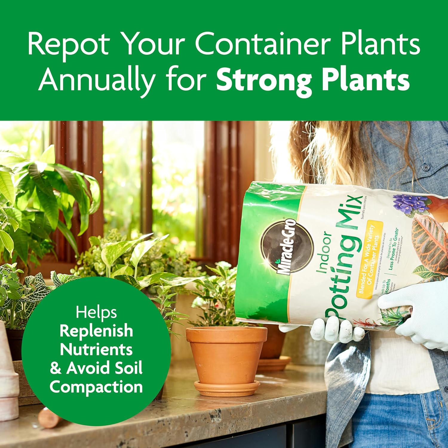 Miracle-Gro Indoor Potting Mix, Blended for a Variety of Houseplants, Feeds for up to 6 Months, 6 qt., 2-Pack - Image 8