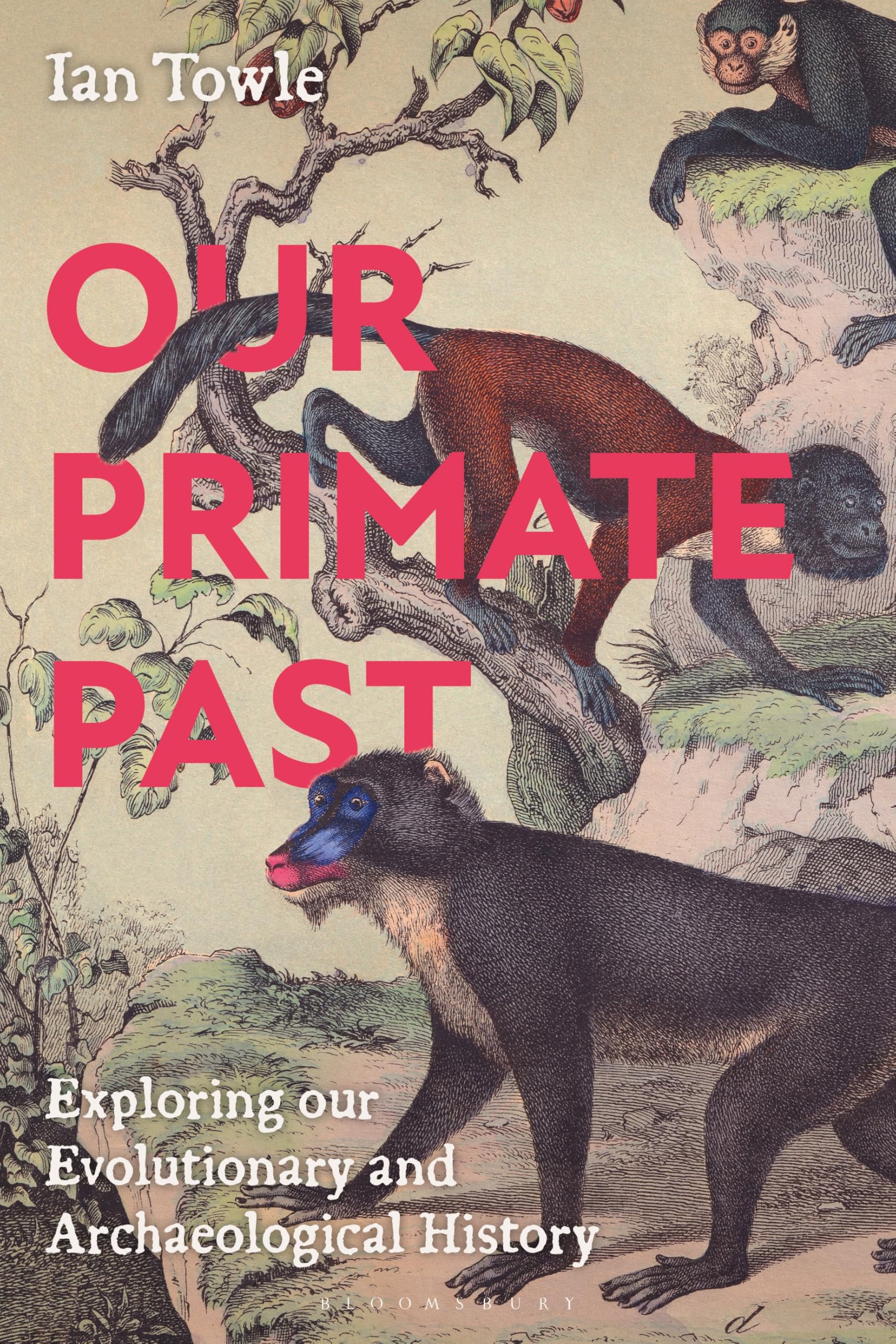 Our Primate Past: Exploring our Evolutionary and Archaeological History