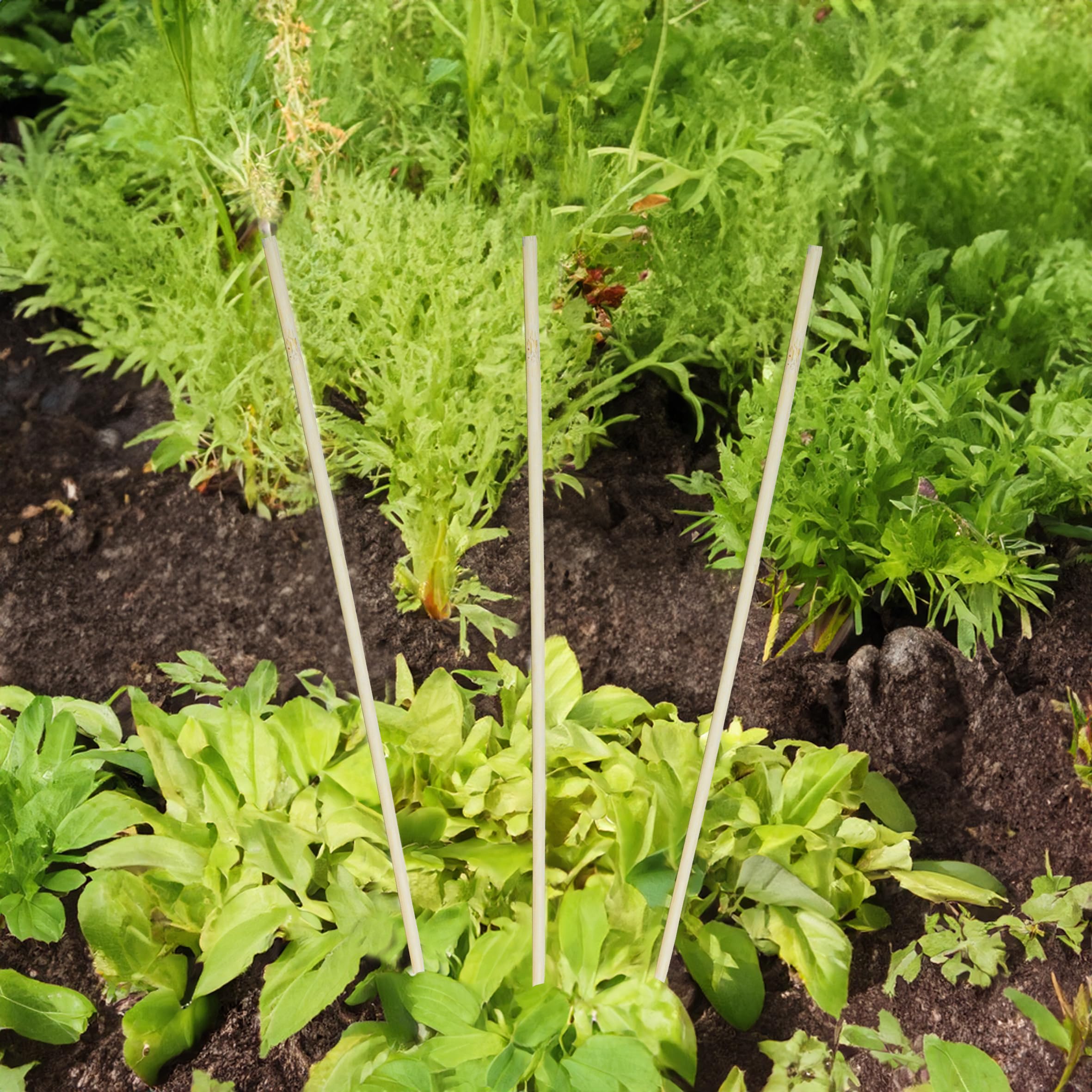 Bastoncini per Piante in Bambù, 90 cm, Naturale, 200 Pezzi - Supporto per Coltivazione di Vasi e Aiuole, Pomodori, Fiori, Rampicanti - Aste per Giardino