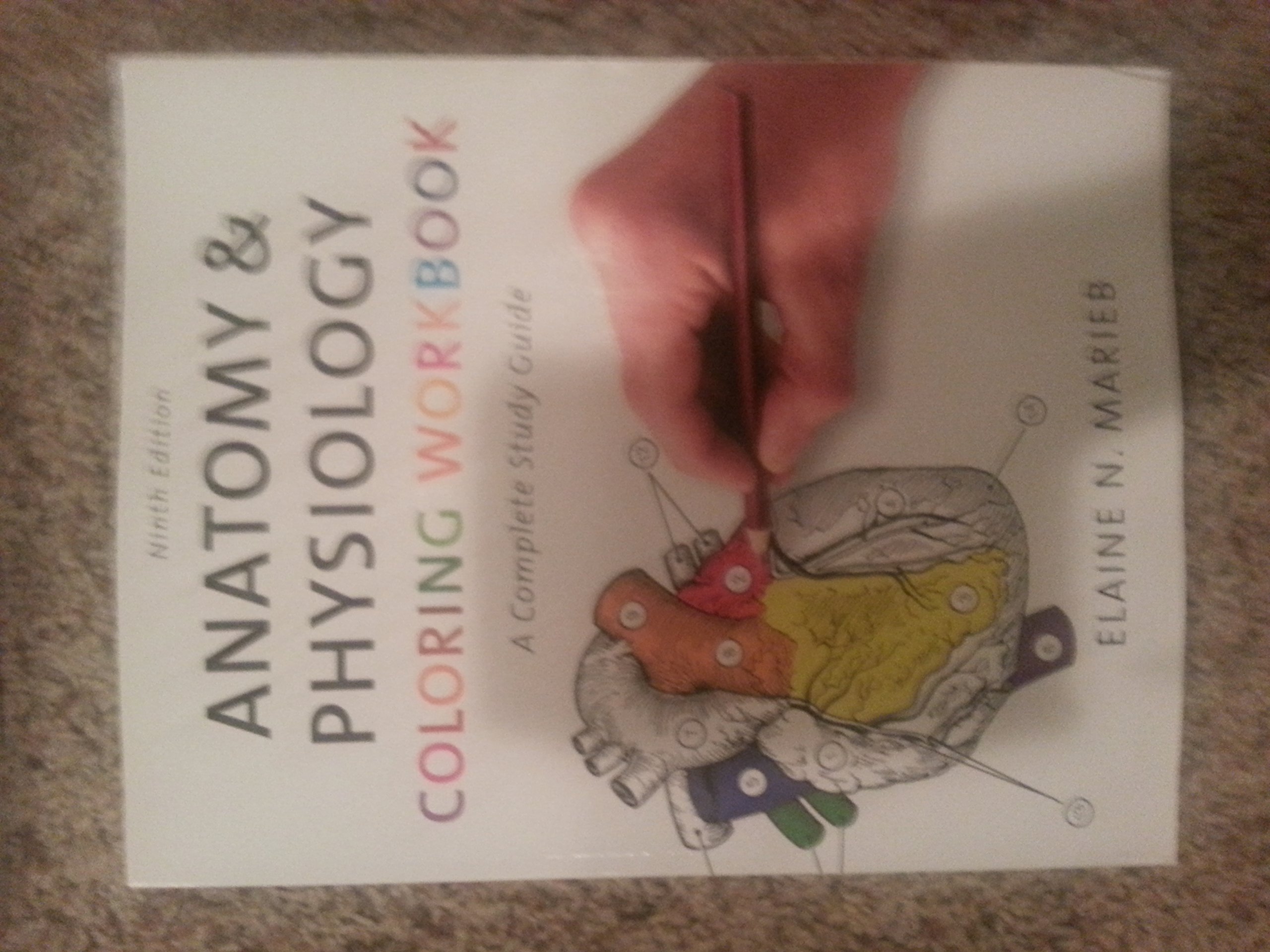 Anatomy & Physiology Coloring Workbook: A Complete Study Guide (9th Edition)