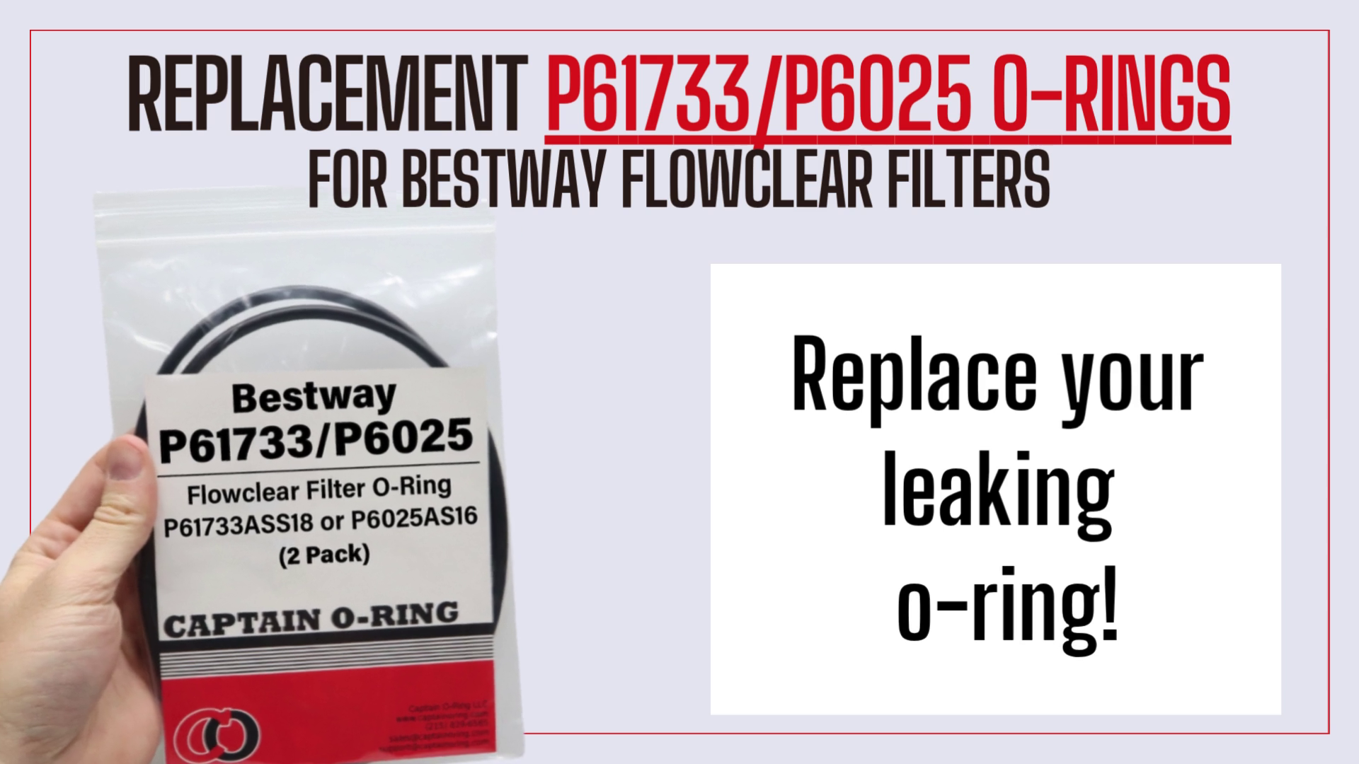 Amazon.com: Captain O-Ring Replacement P61733 / P6025 O-Rings for