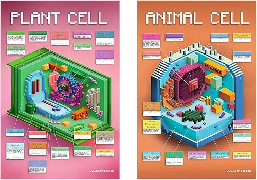 hBARSCI CellCraft - Juego de póster de células de animales y plantas, 2 gráficos de estructura de células de videojuegos, 24 x 36 pulgadas cada uno